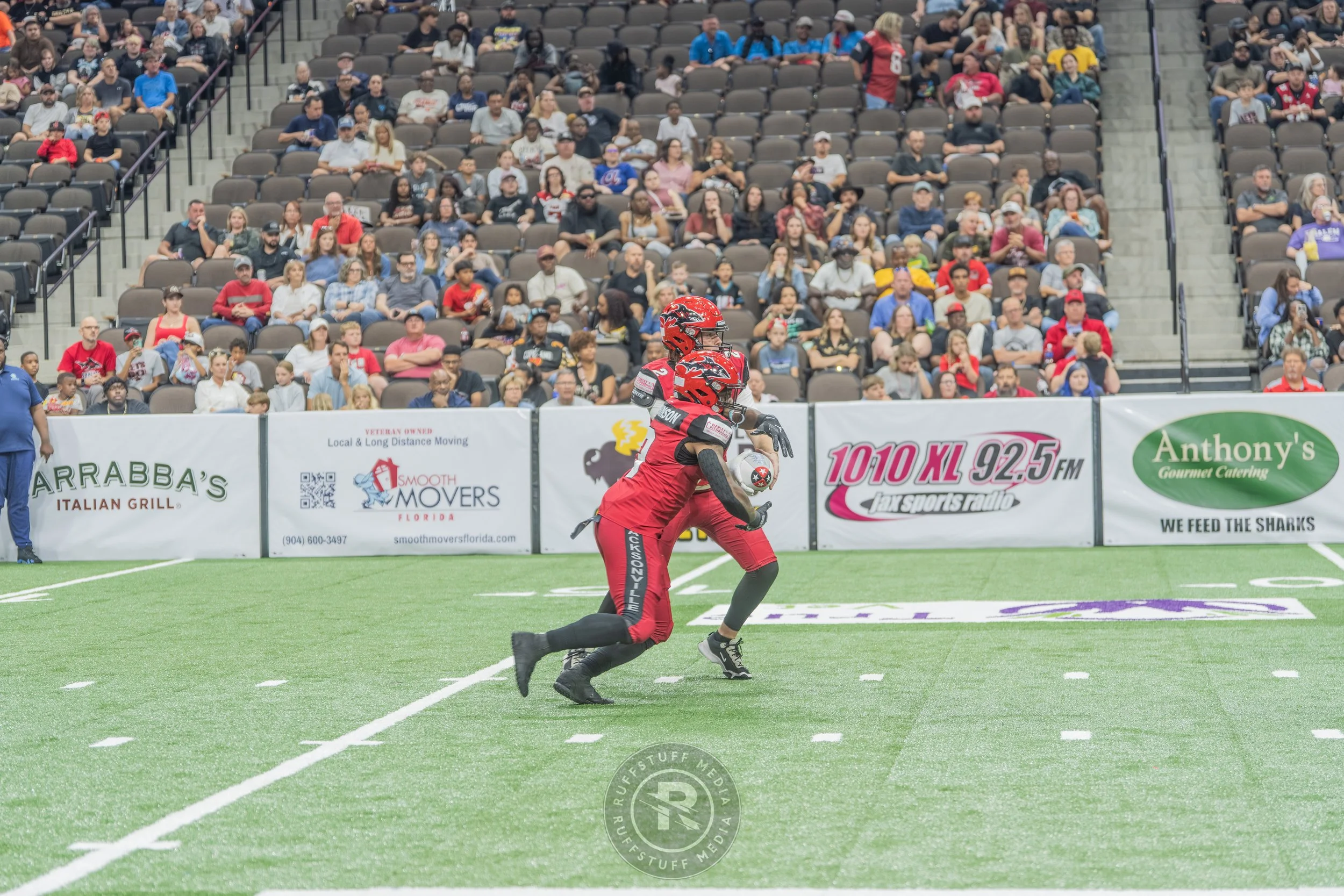 Sharks 260417-164.JPG