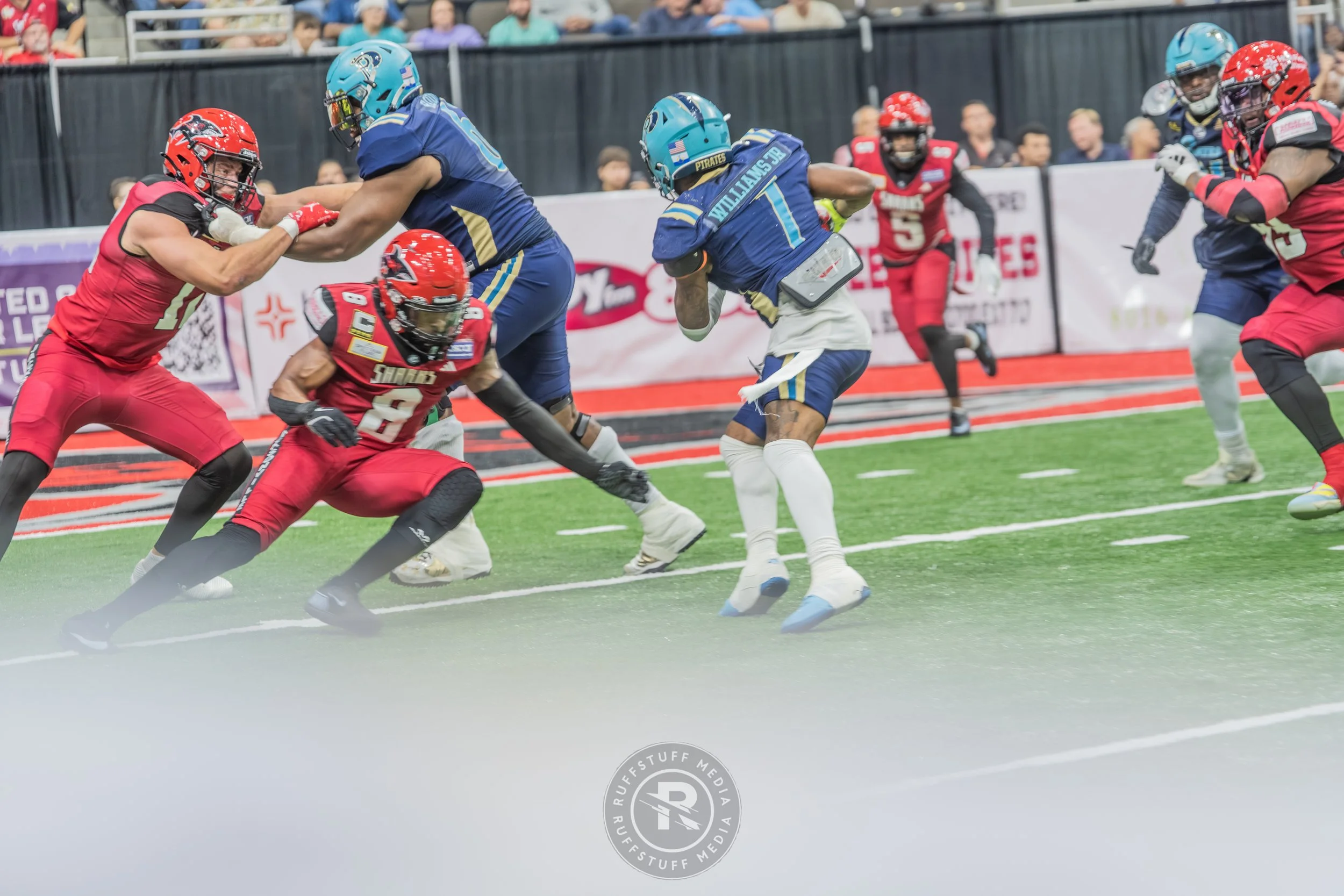 Sharks 260417-192.JPG