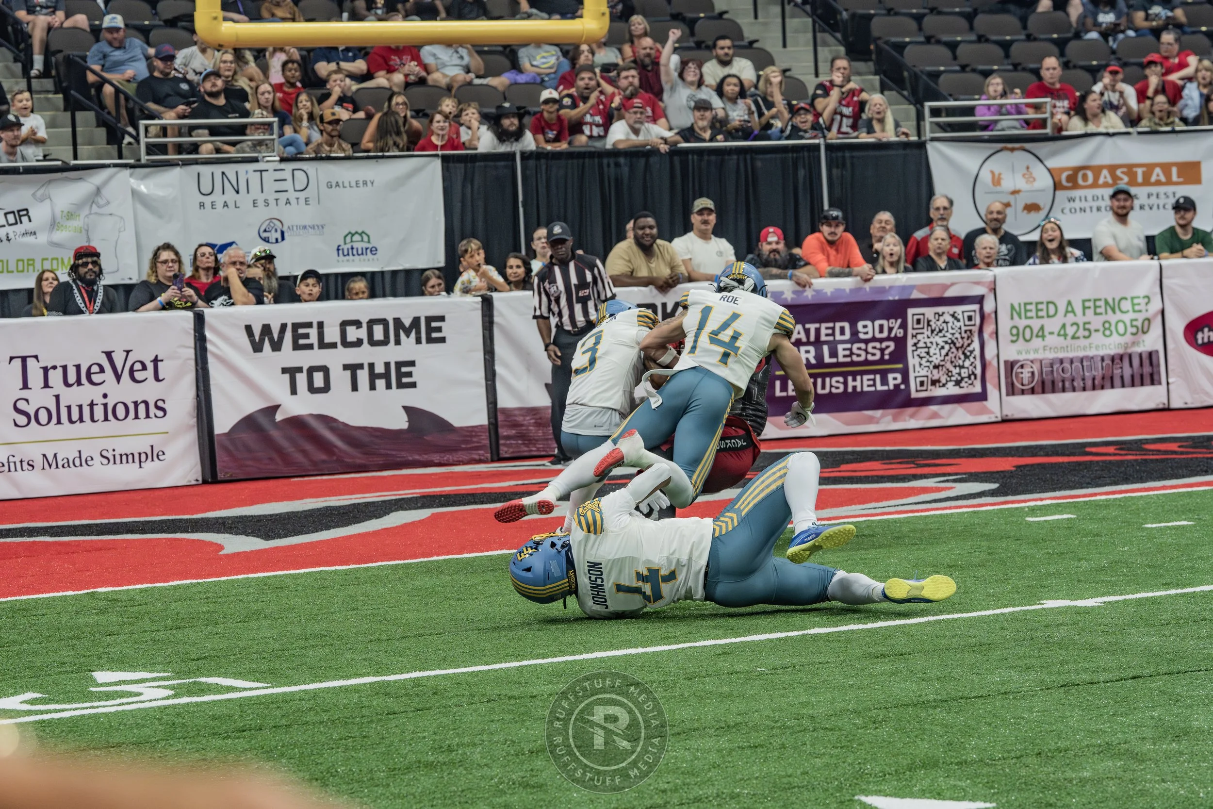 Sharks 260530-197.JPG