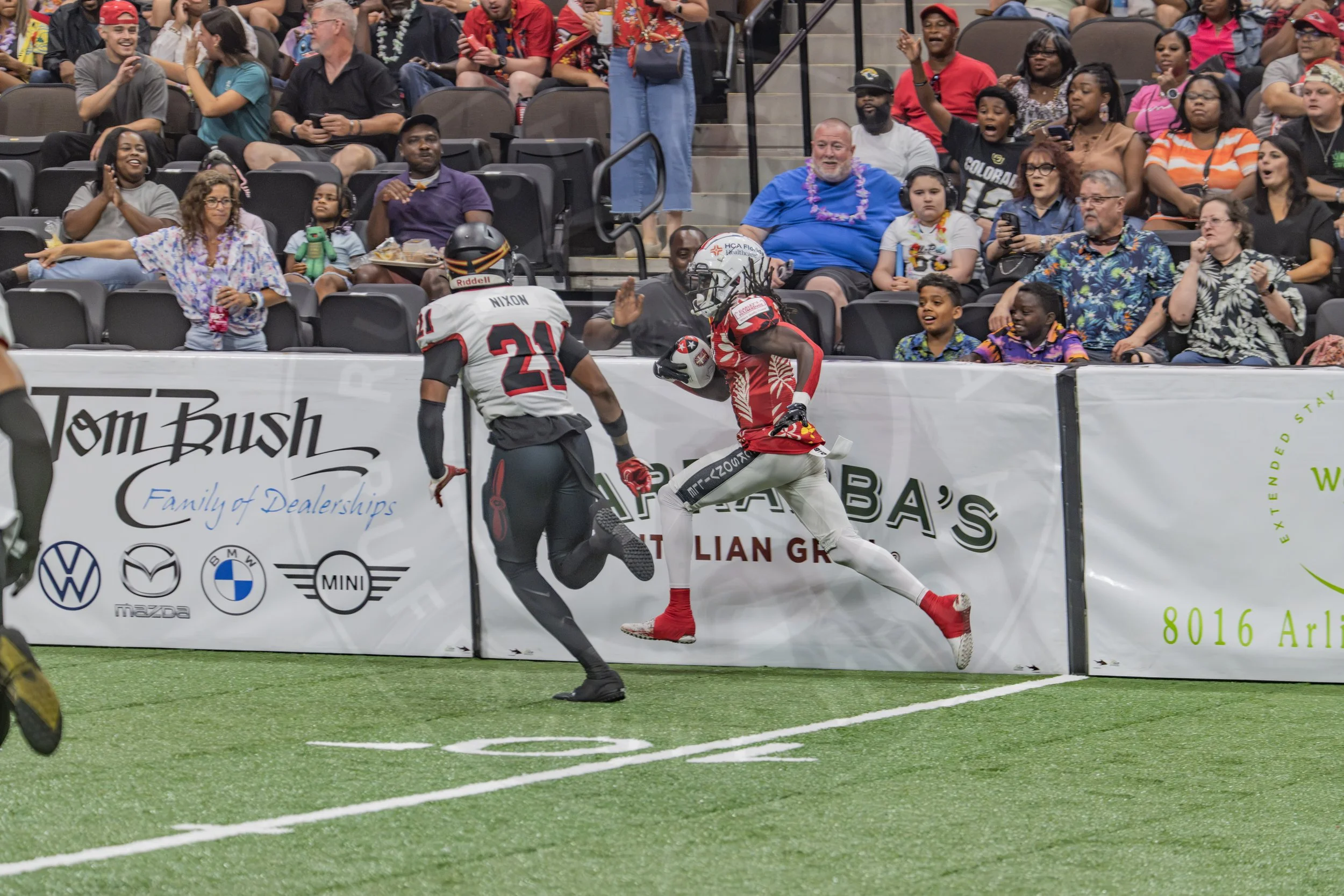 Sharks 260718-67.JPG