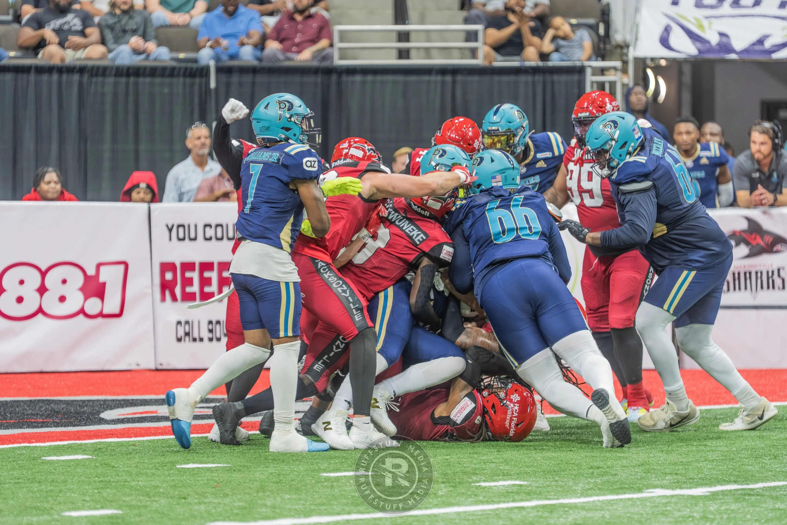 Sharks 260417-246.JPG