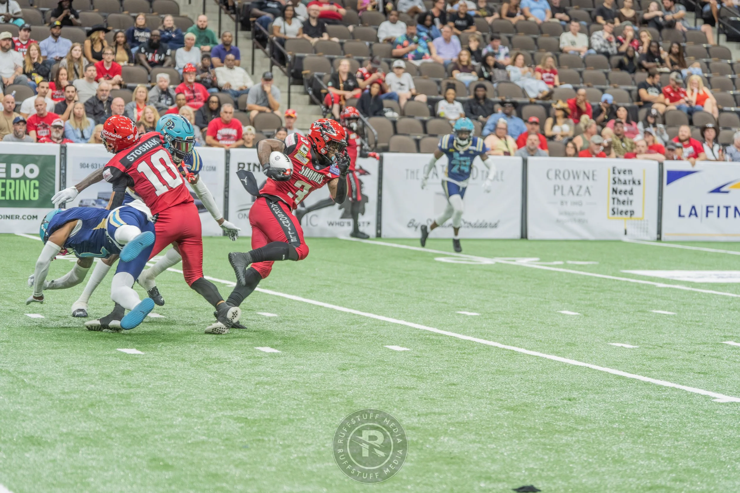 Sharks 260417-489.JPG