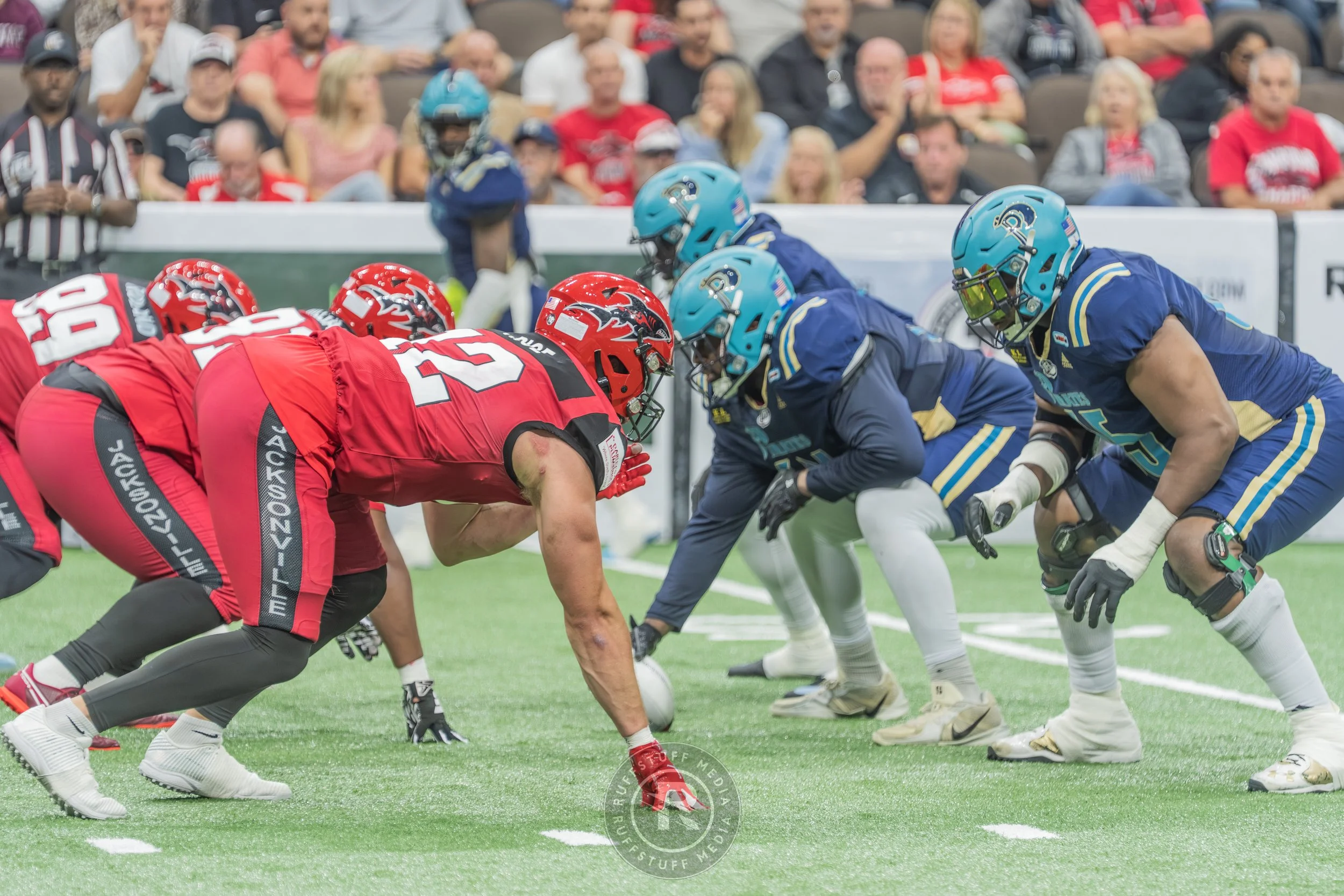 Sharks 260417-181.JPG