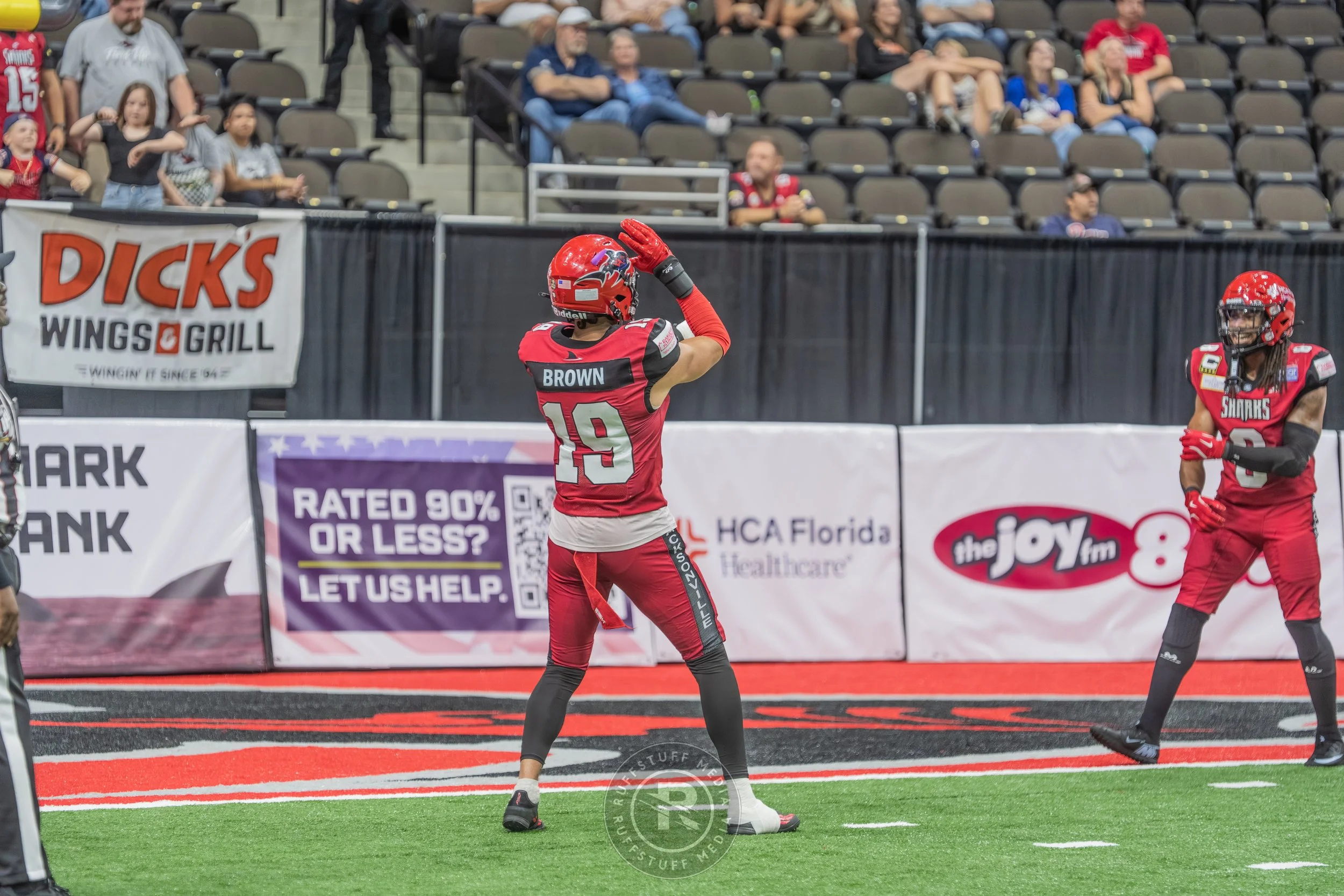 Sharks 260417-546.JPG