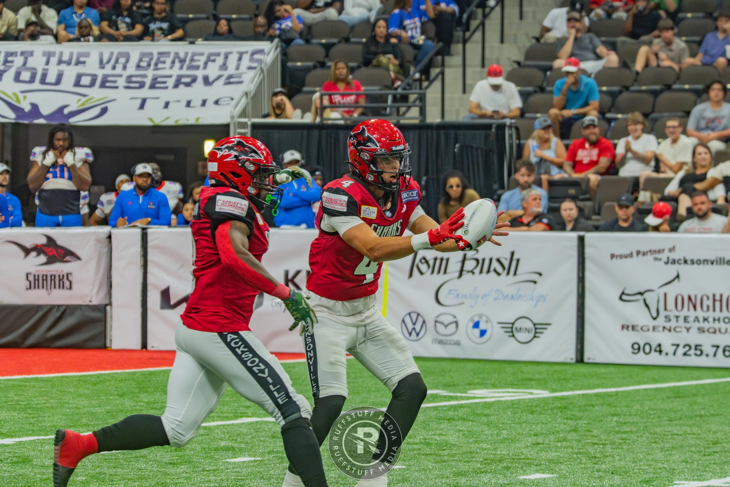 Sharks 260606-410.jpg