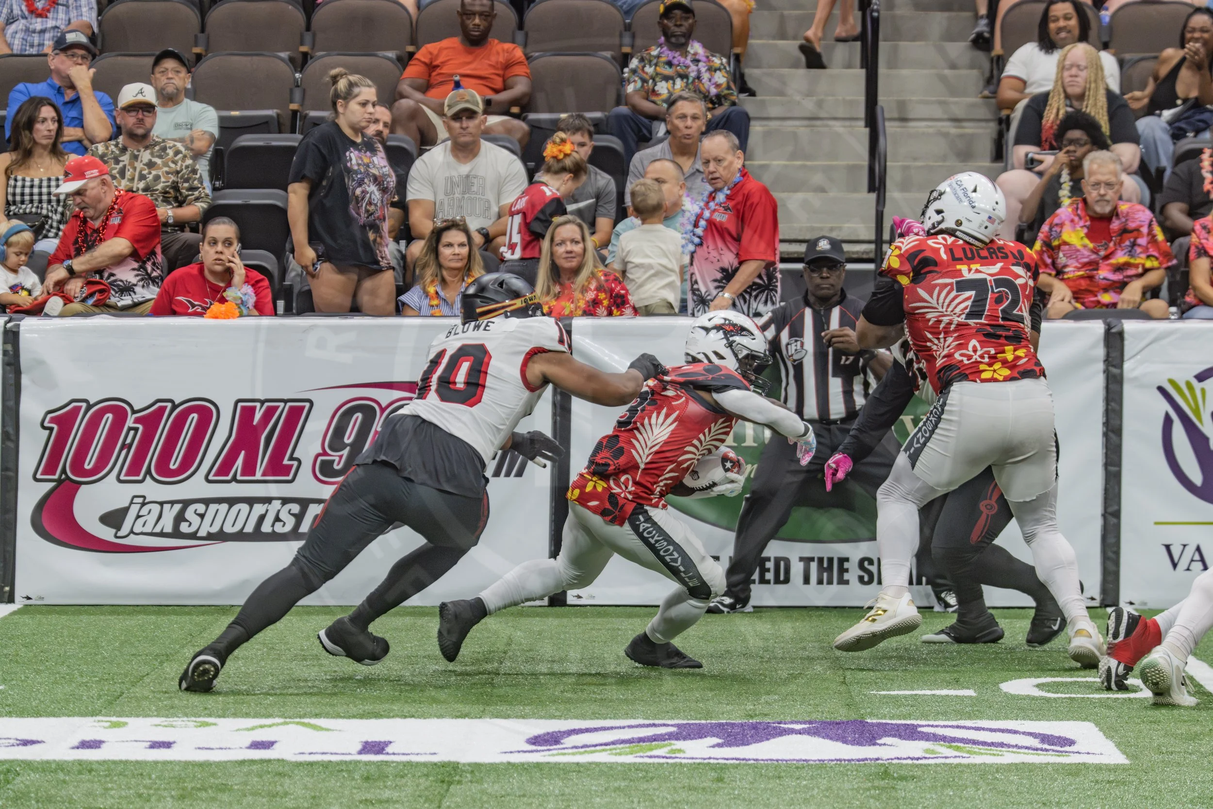 Sharks 260718-165.JPG