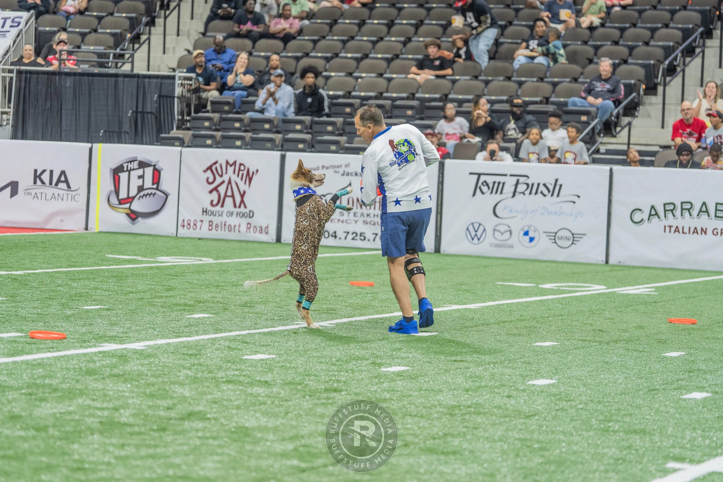 Sharks 260417-303.JPG