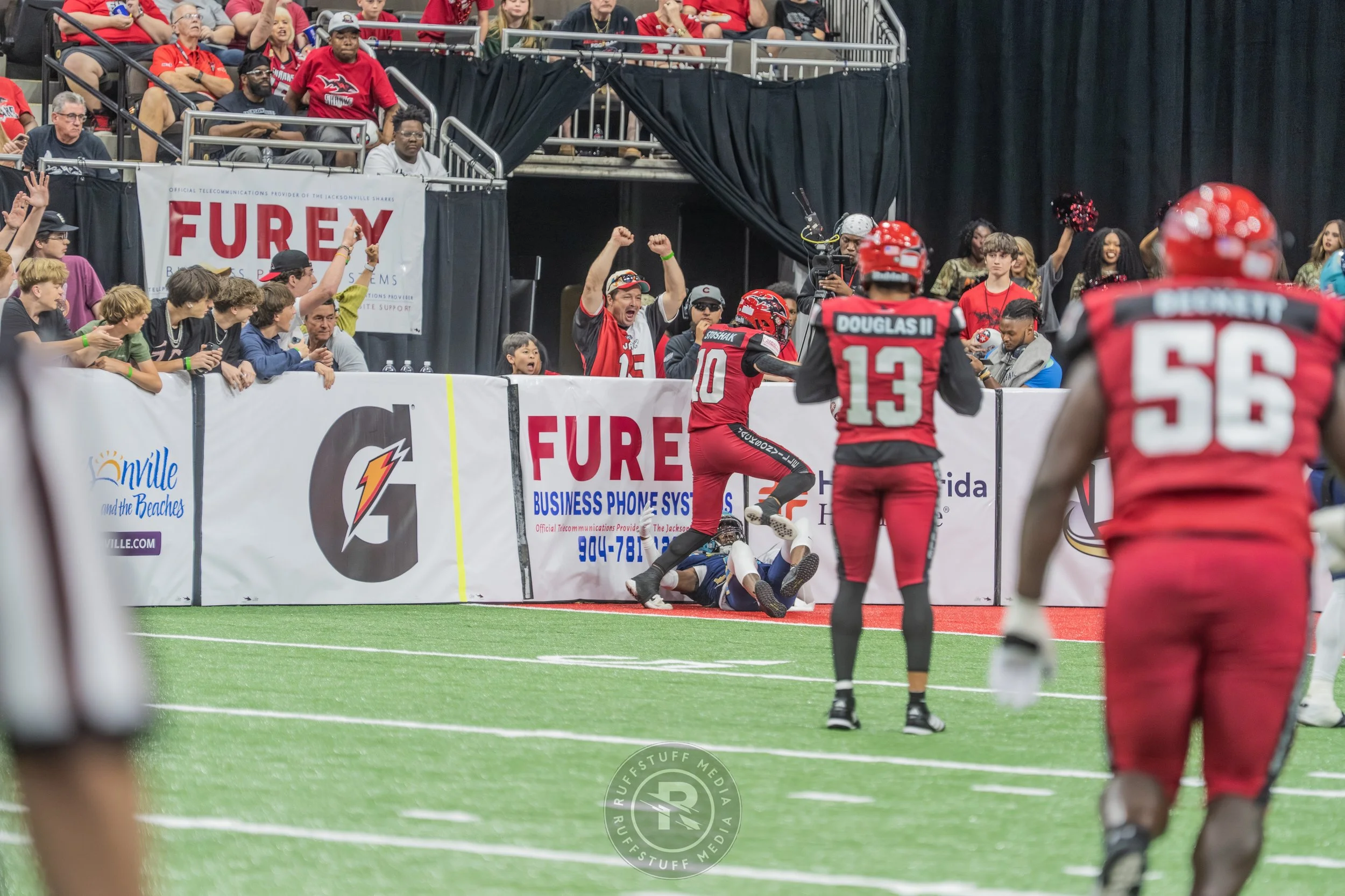 Sharks 260417-518_resize.JPG