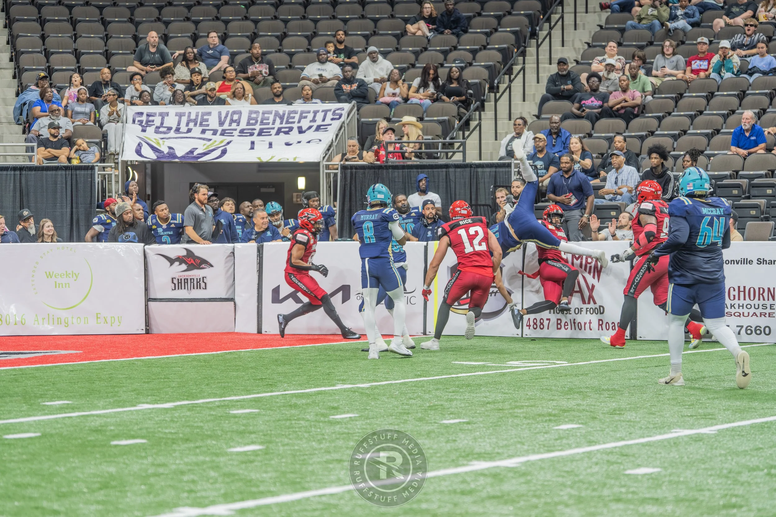 Sharks 260417-240.JPG
