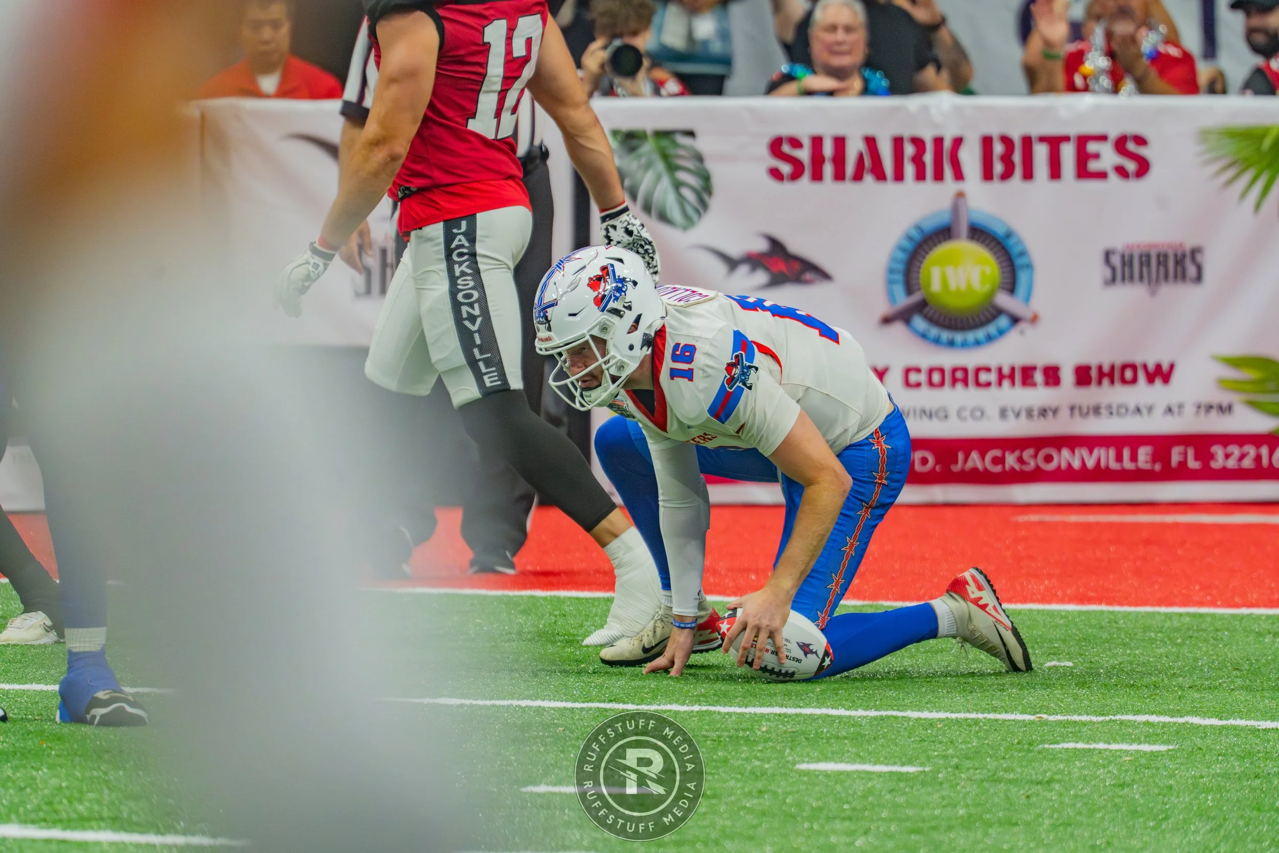 Sharks 260606-371.jpg