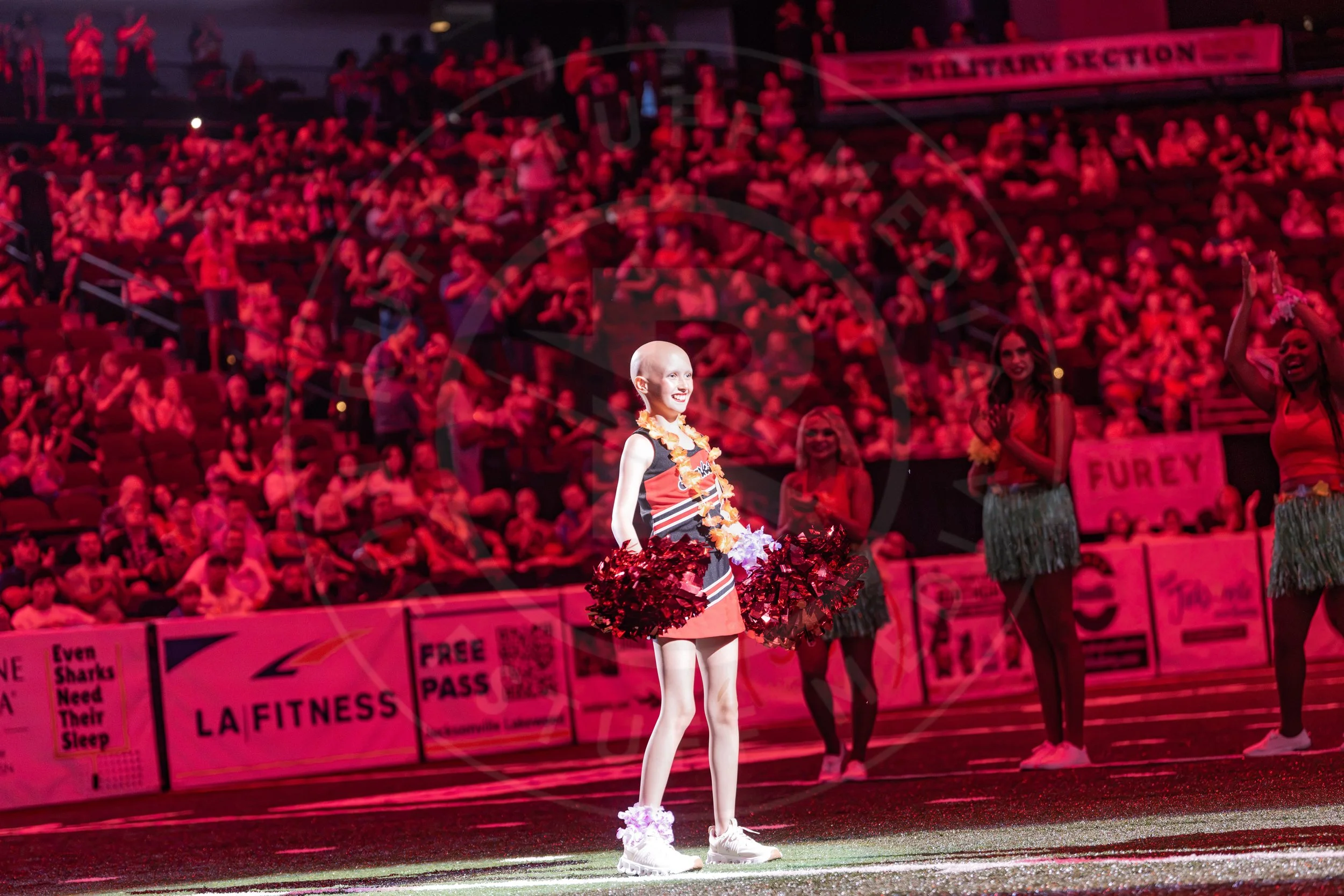 Sharks 260718-184.JPG