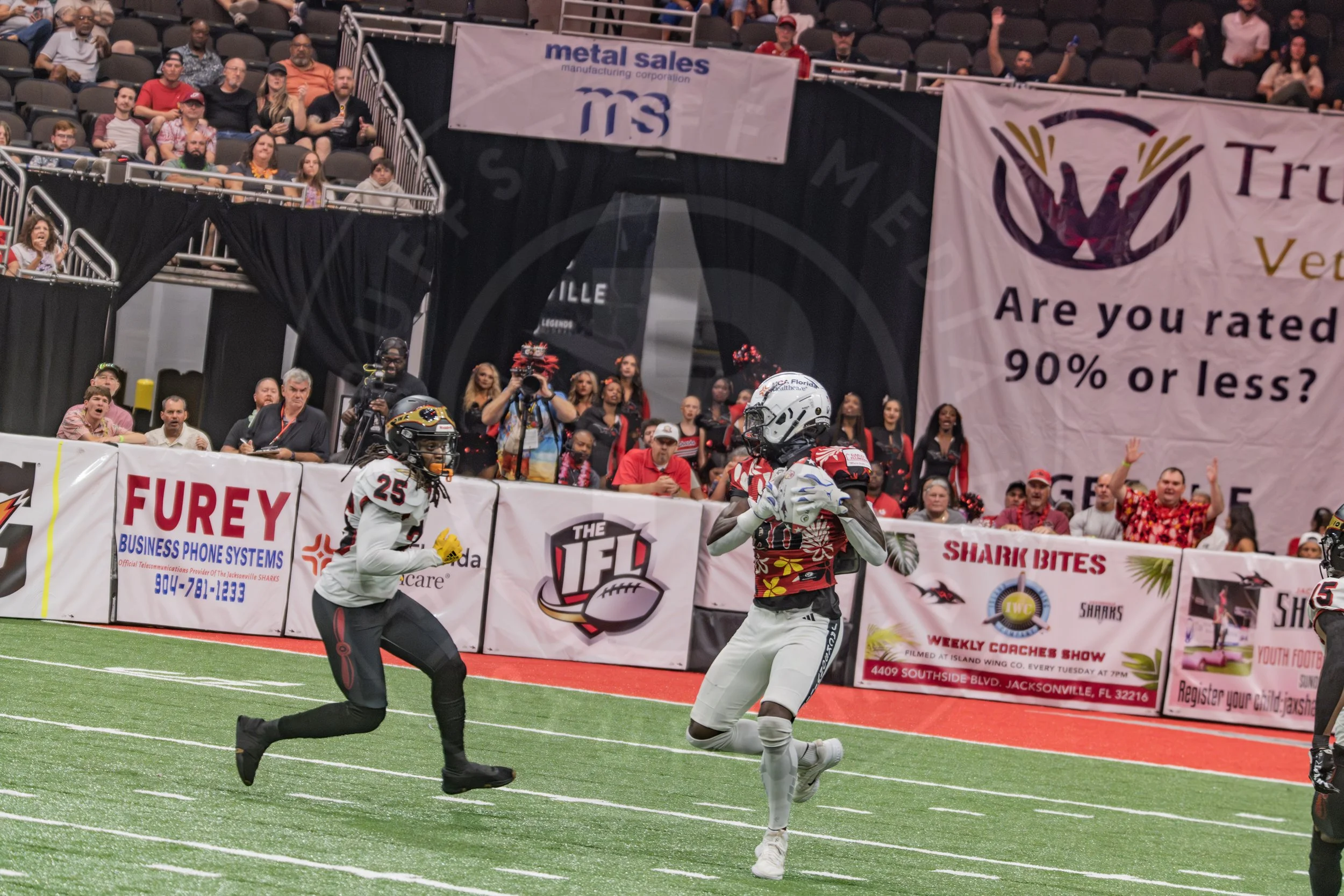 Sharks 260718-138.JPG