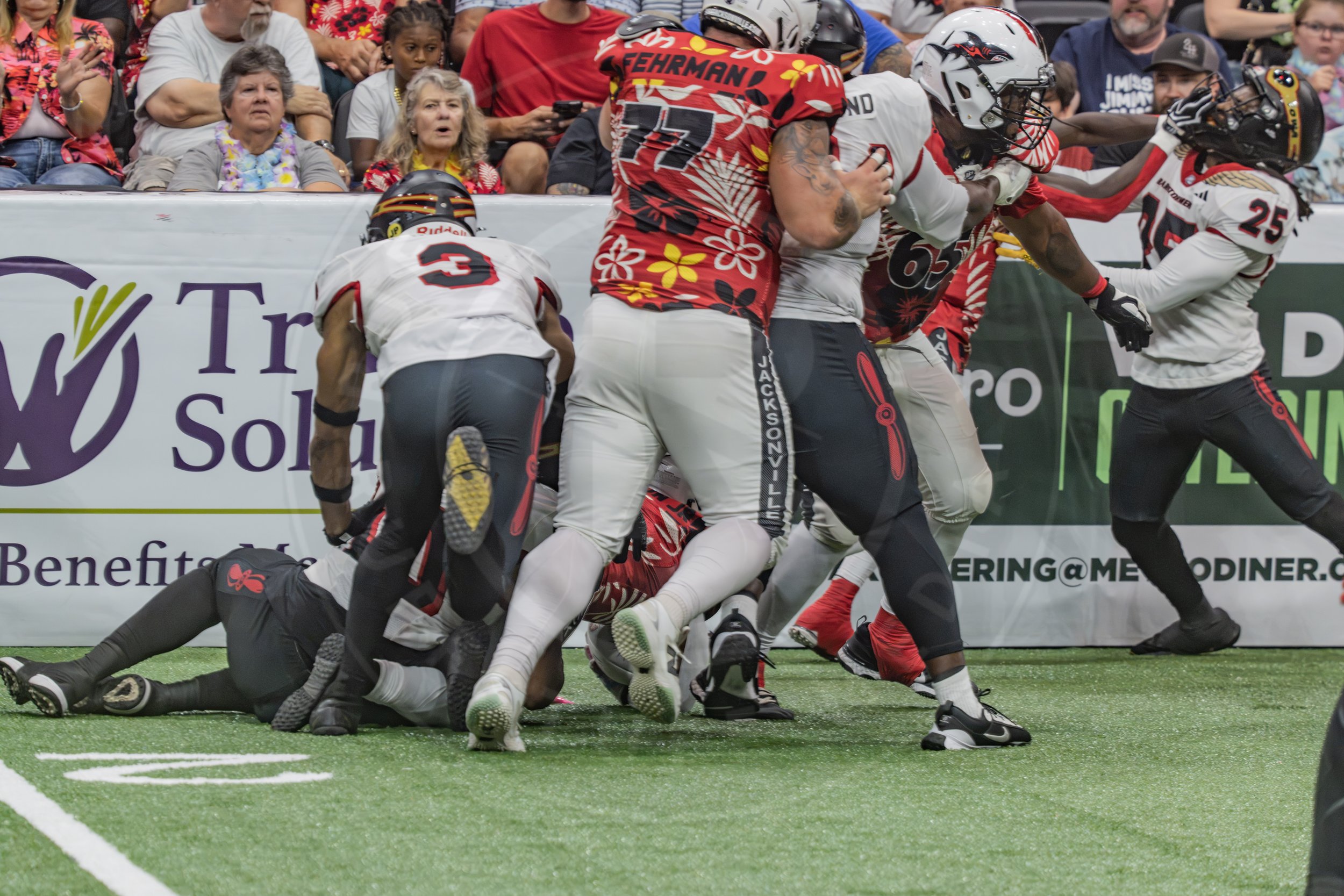 Sharks 260718-167.JPG