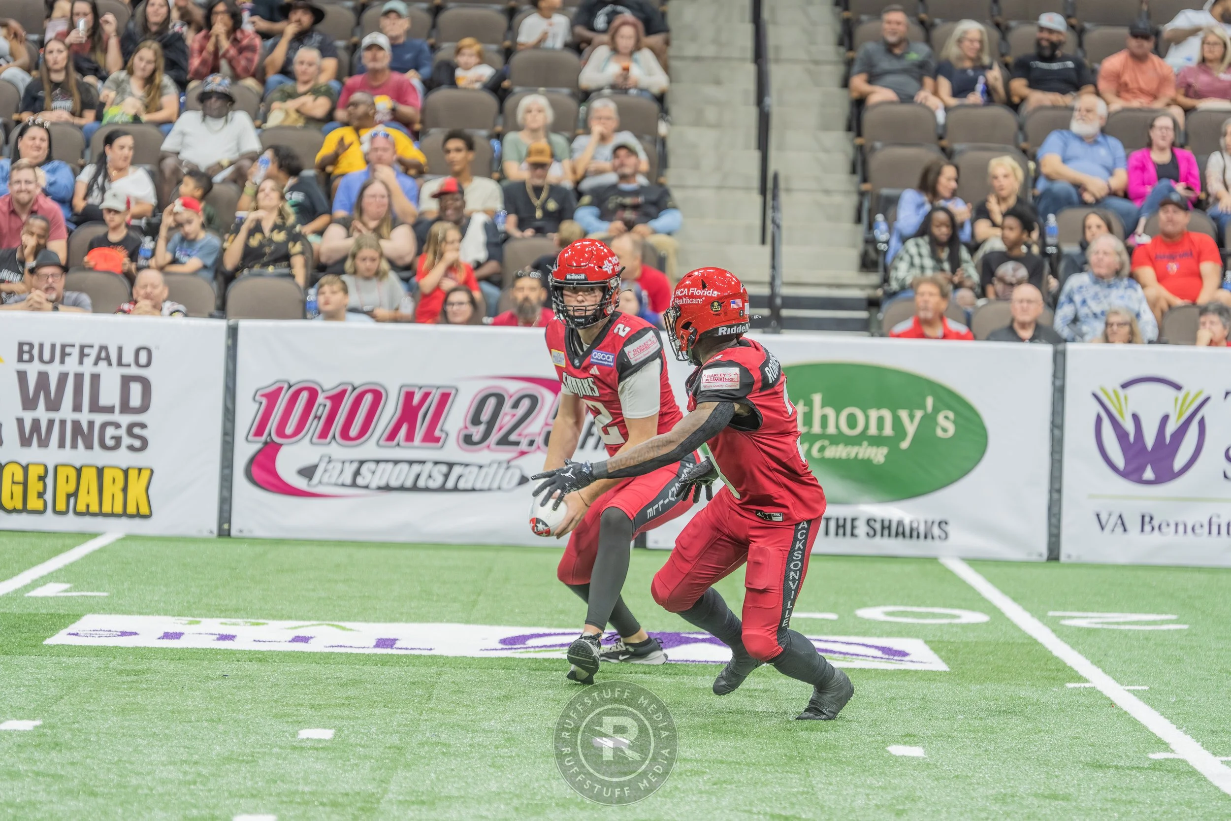 Sharks 260417-435.JPG