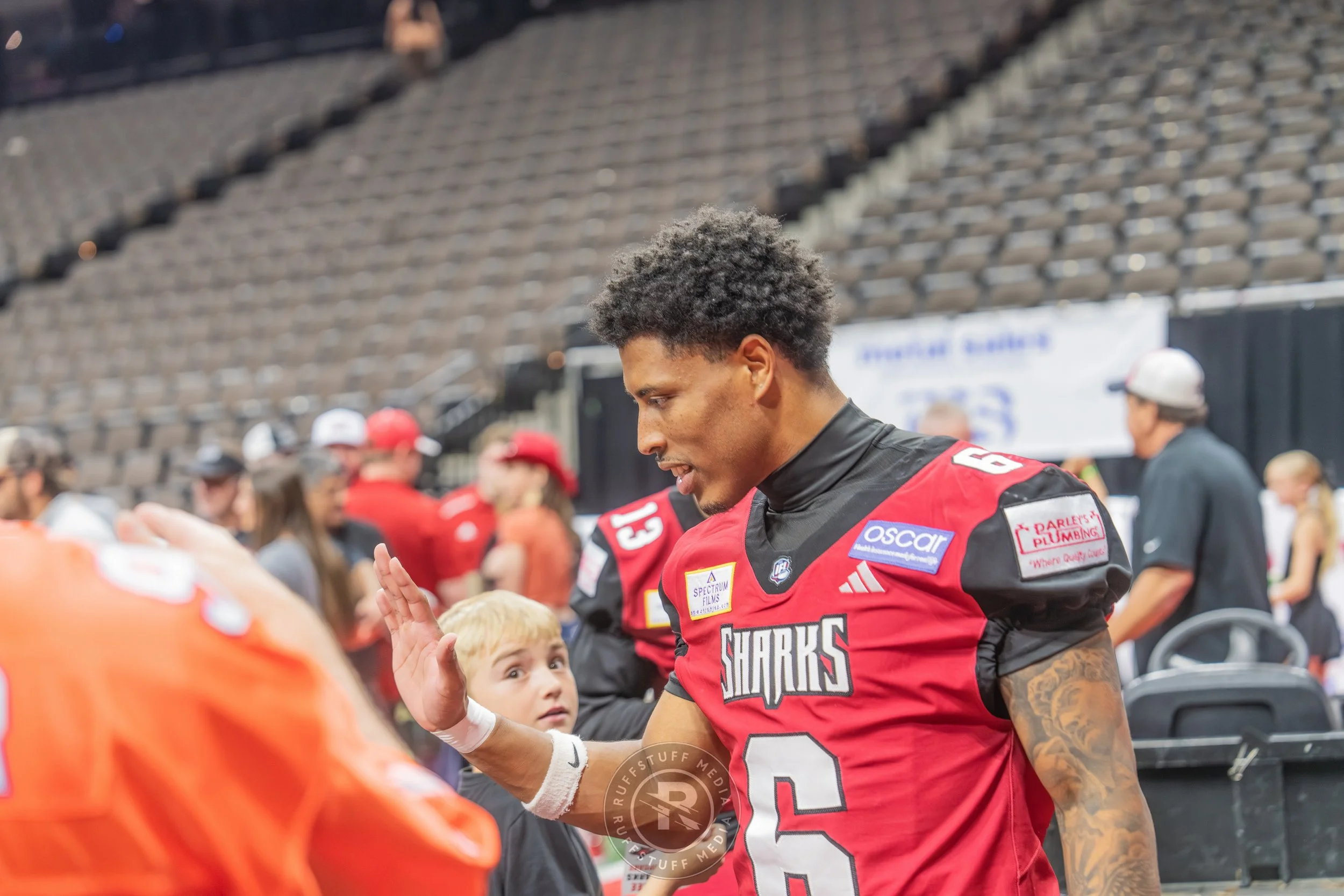 Sharks 260417-583_resize.JPG