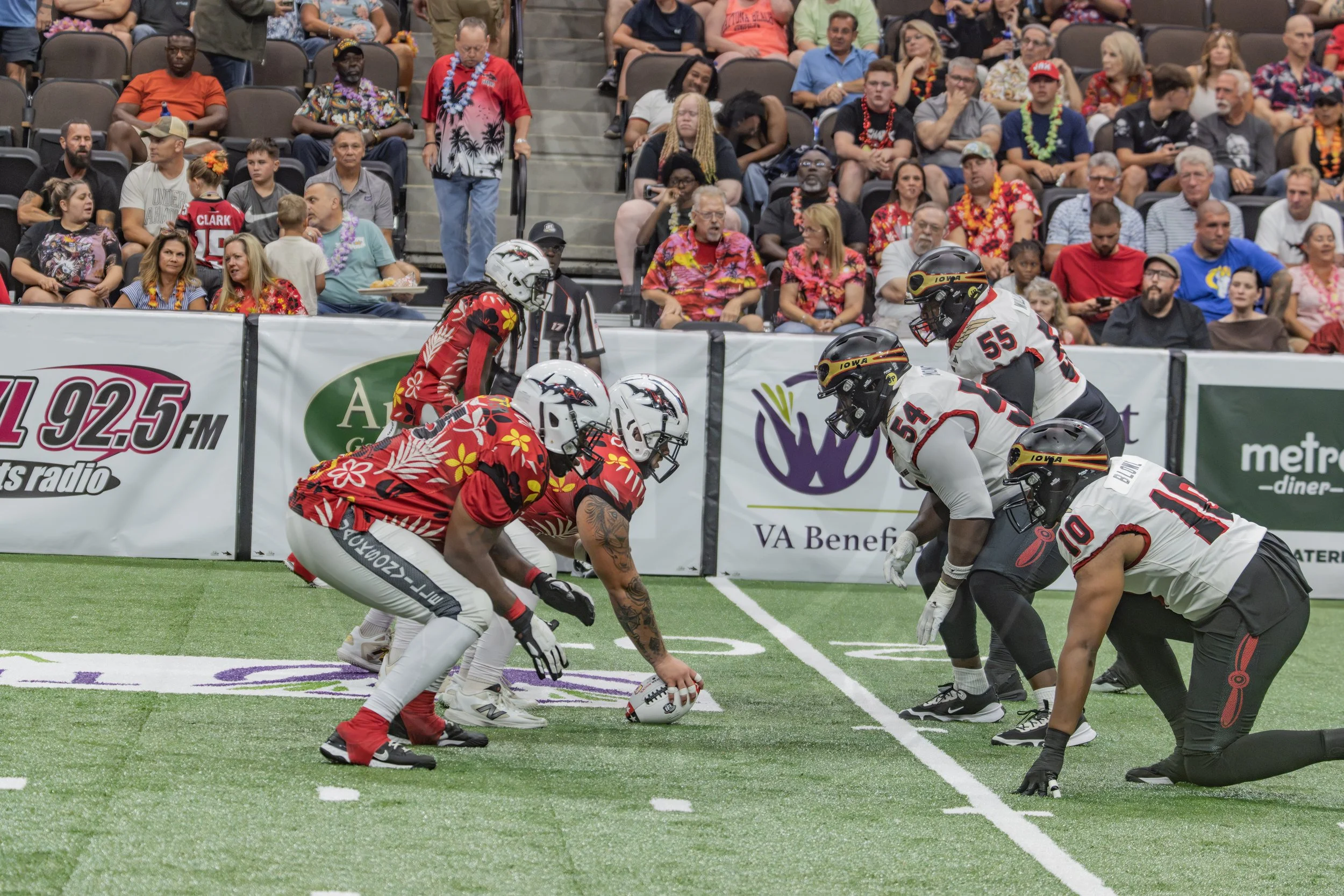 Sharks 260718-162.JPG