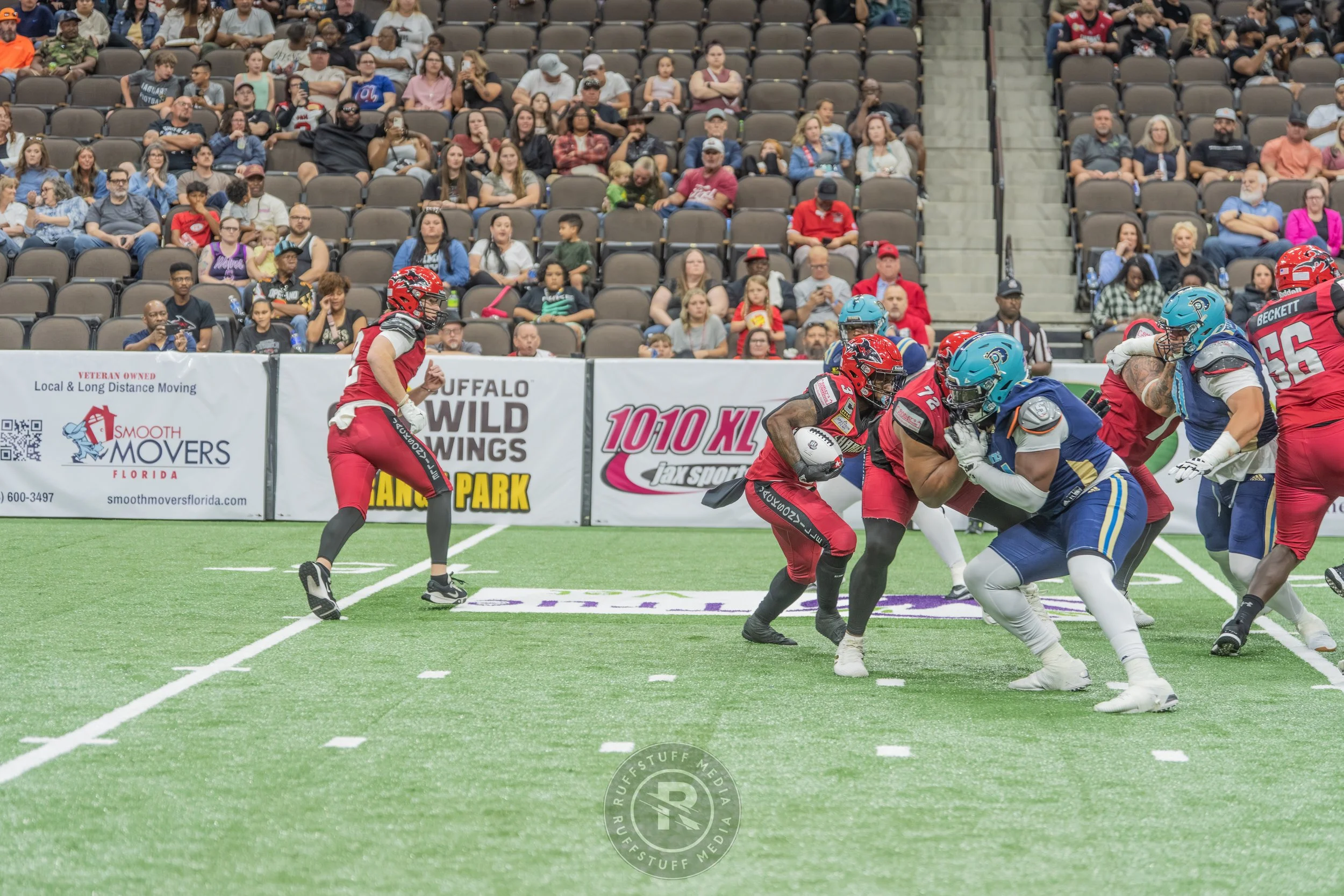 Sharks 260417-485.JPG