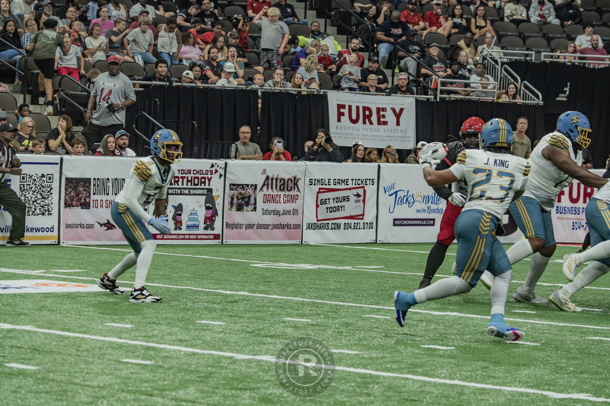 Sharks 260530-562.JPG