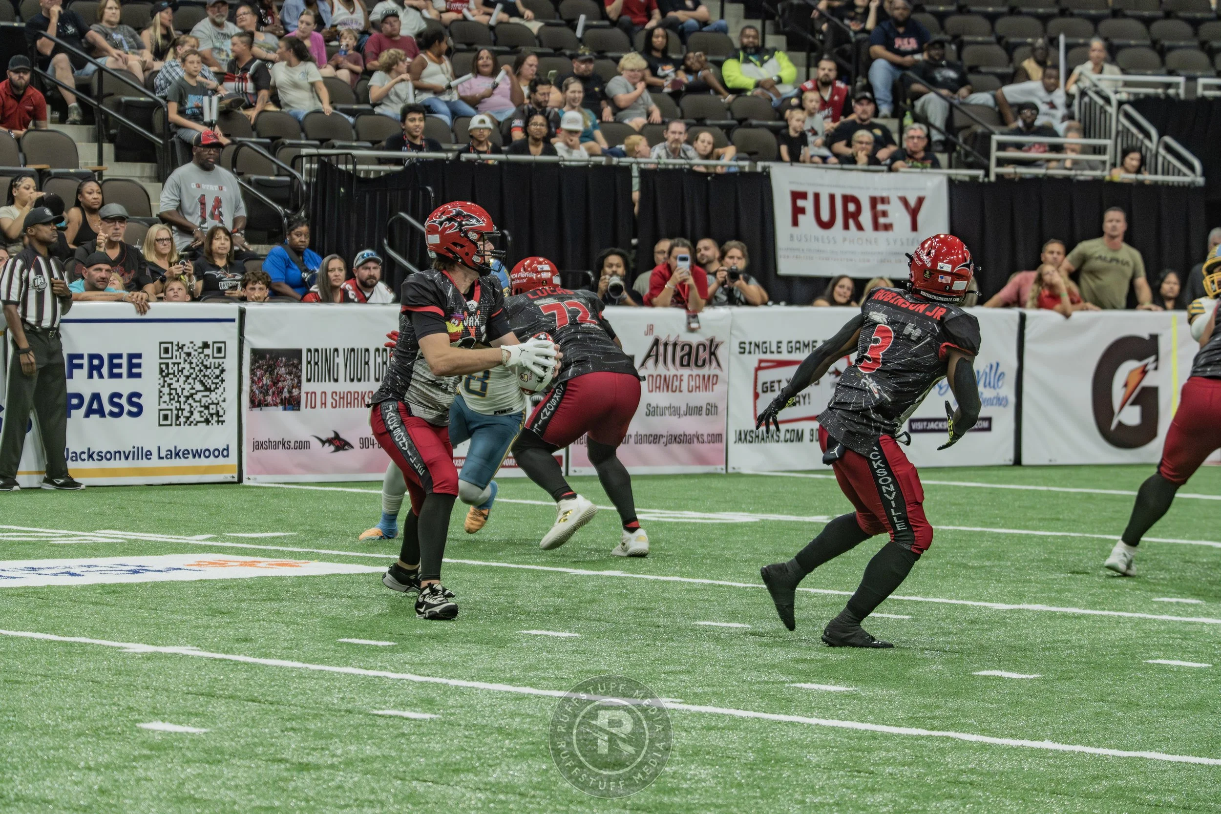 Sharks 260530-648.JPG