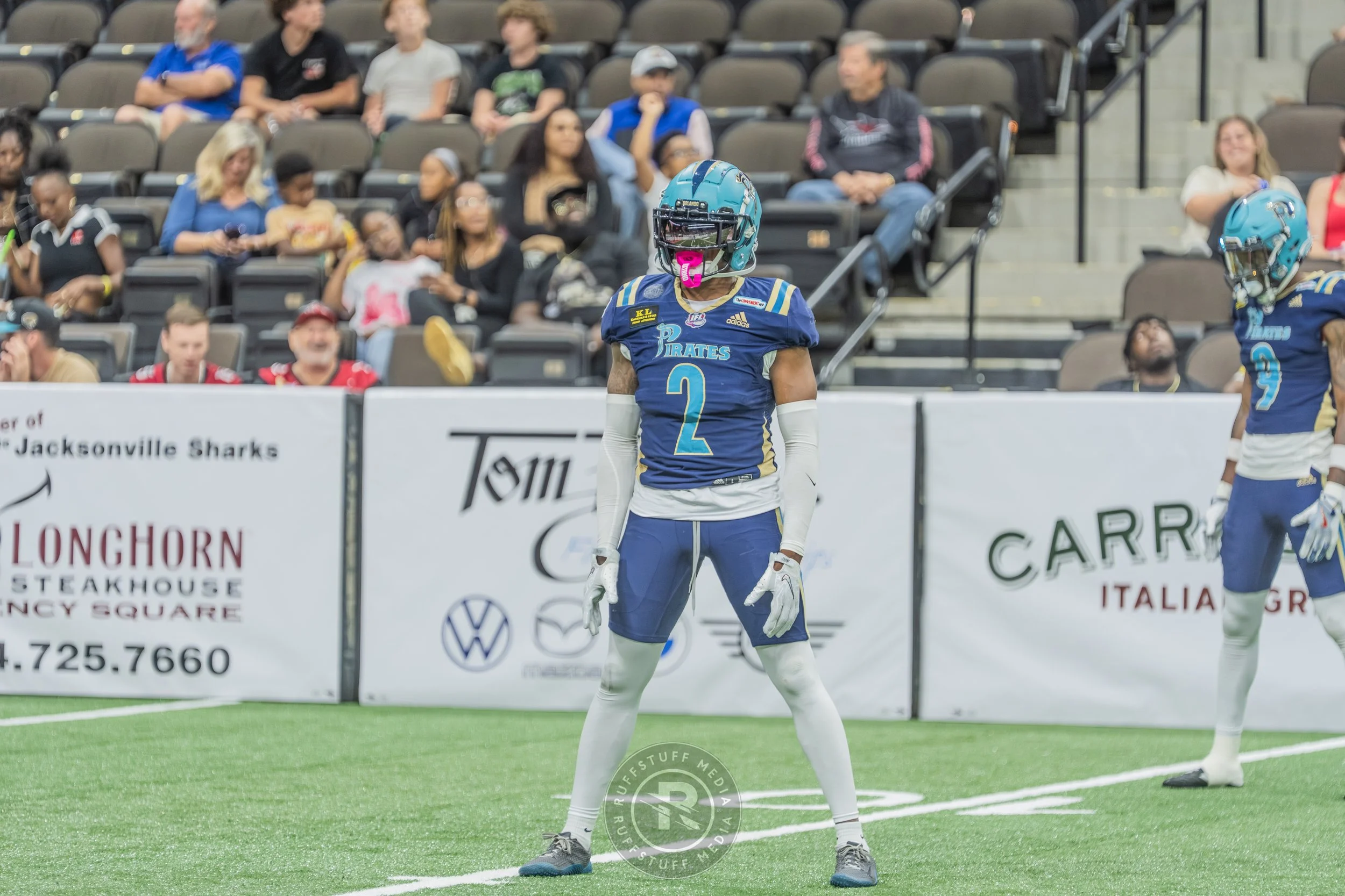 Sharks 260417-526.JPG