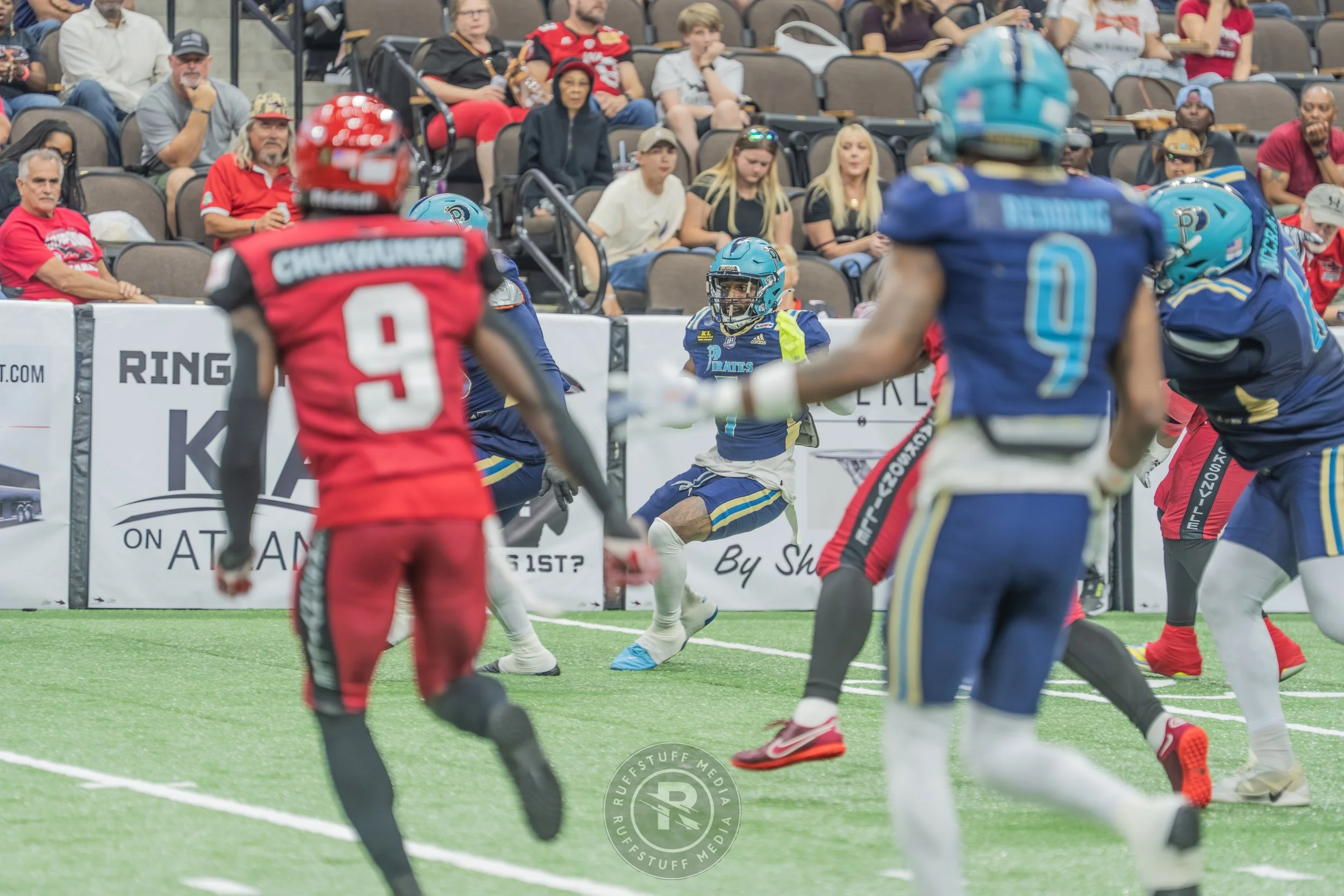 Sharks 260417-180.JPG