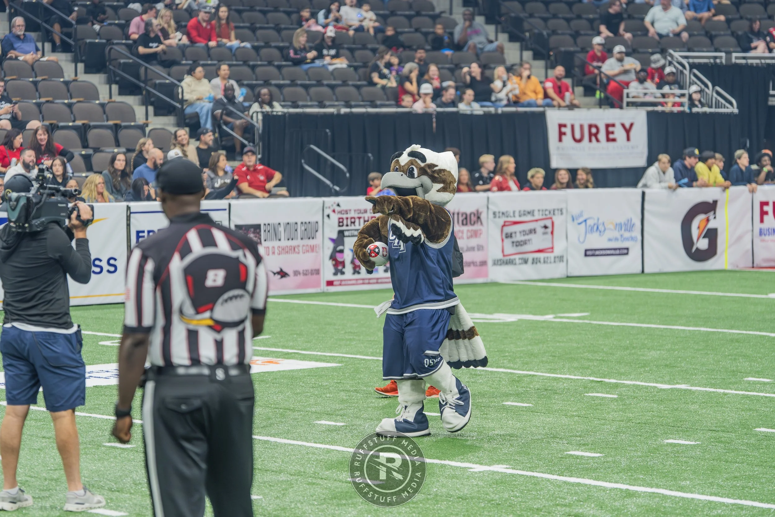 Sharks 260502-70_resize.JPG