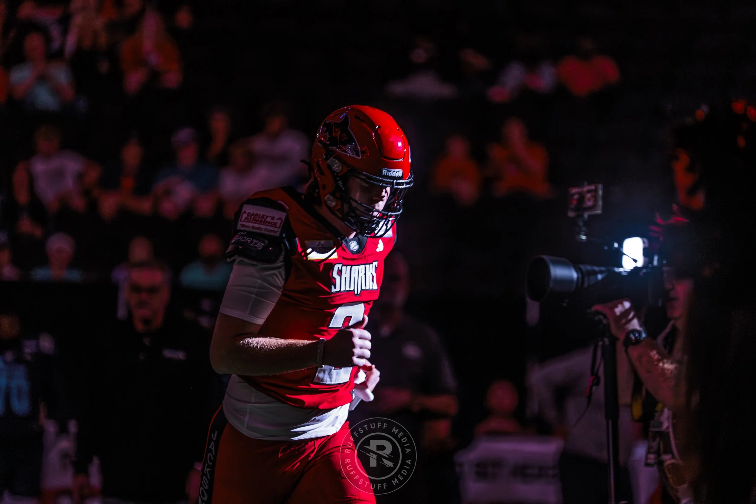 Sharks 260417-85.JPG