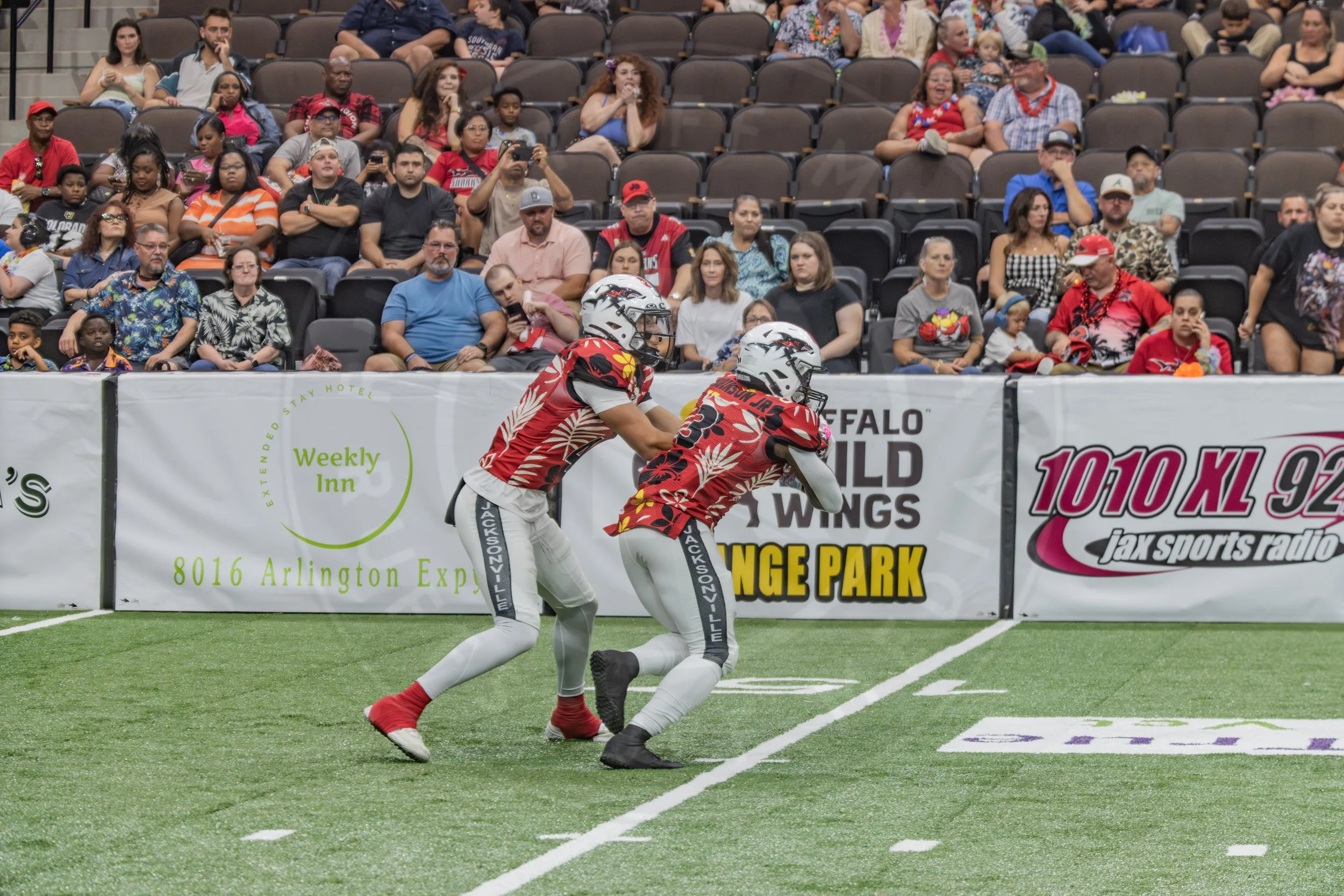 Sharks 260718-164.JPG