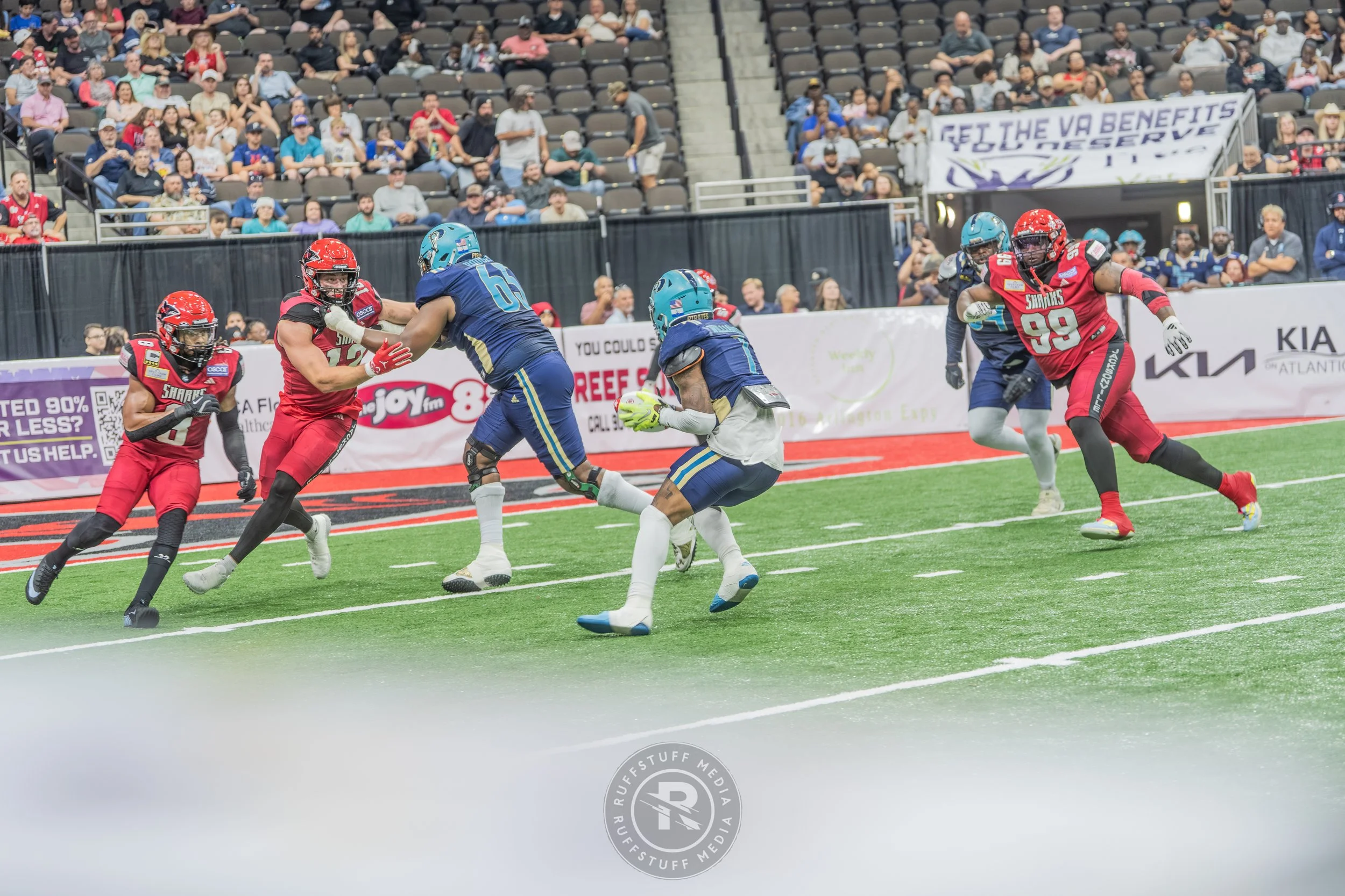 Sharks 260417-191.JPG