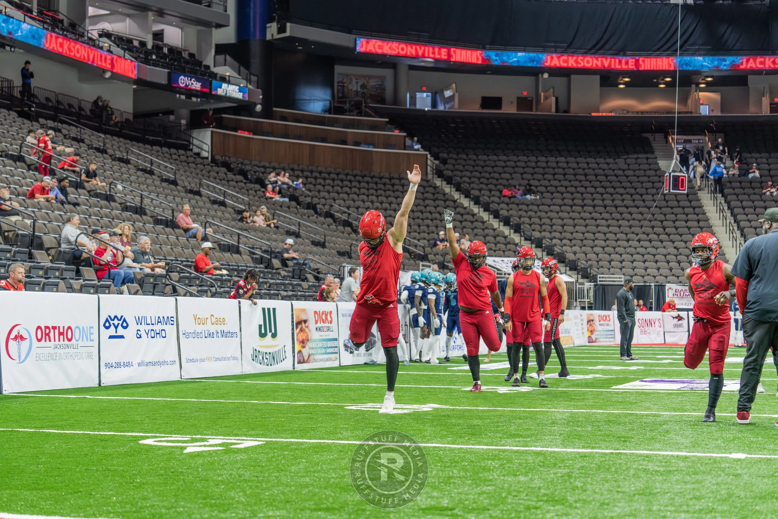 Sharks 260417-3_resize.JPG