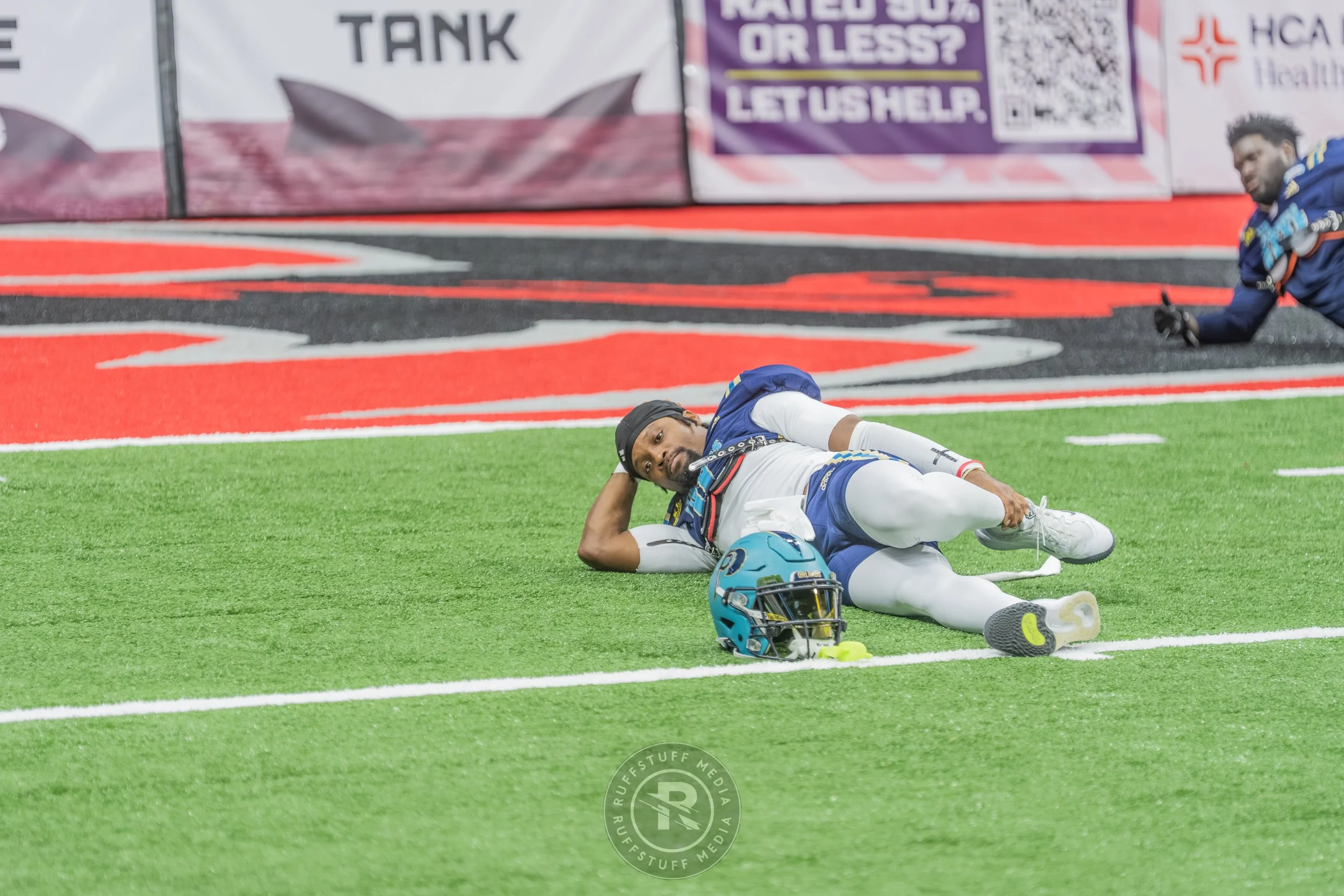 Sharks 260417-55.JPG