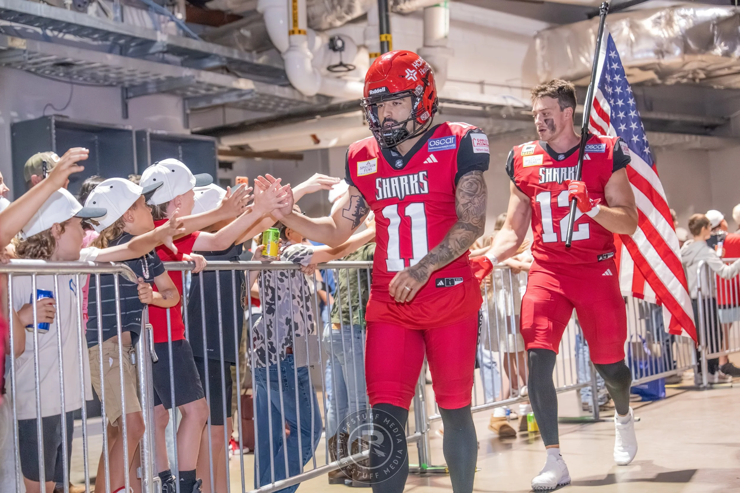 Sharks 260417-39_resize.JPG