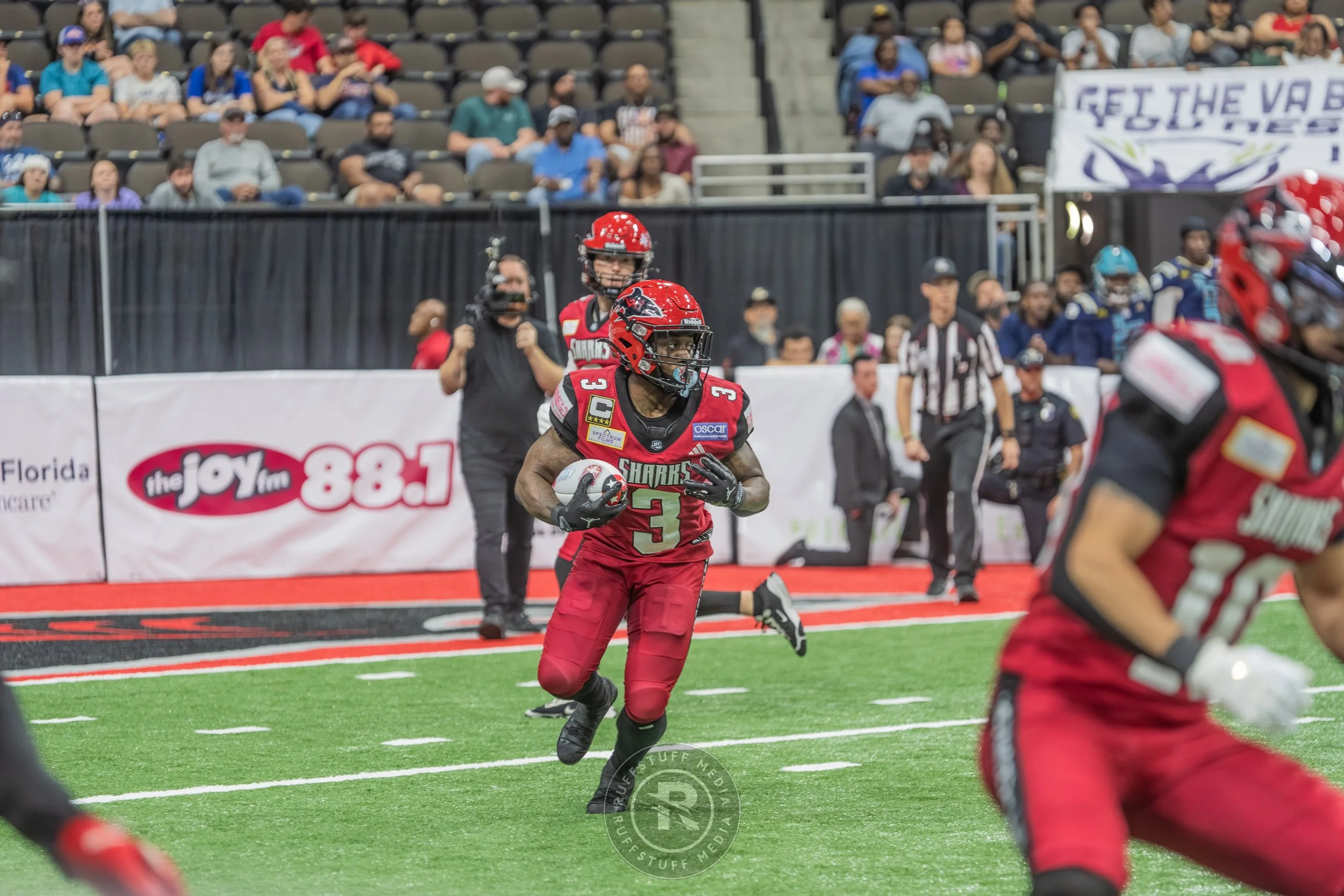 Sharks 260417-474.JPG