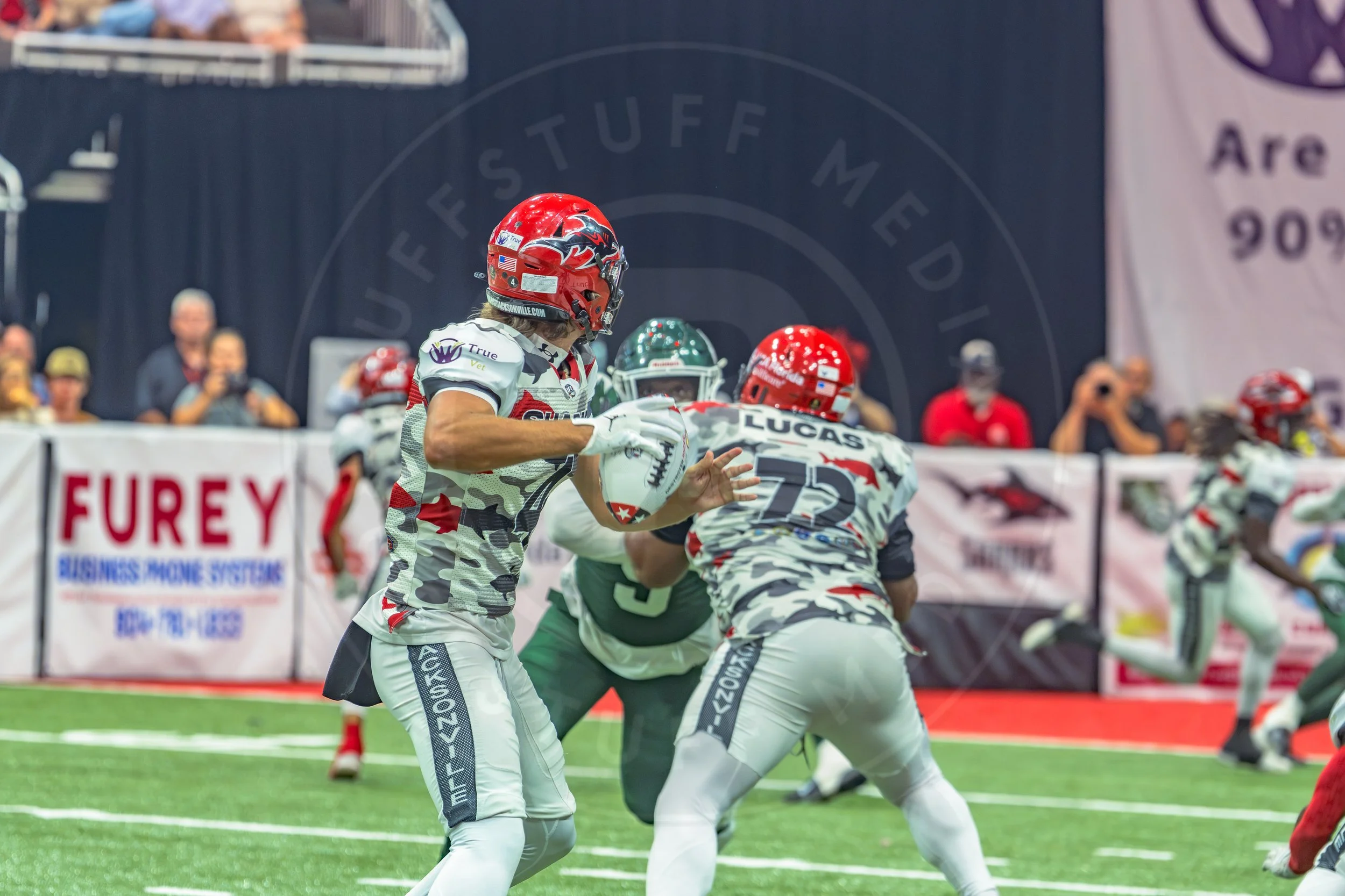 Sharks 260726-126.JPG