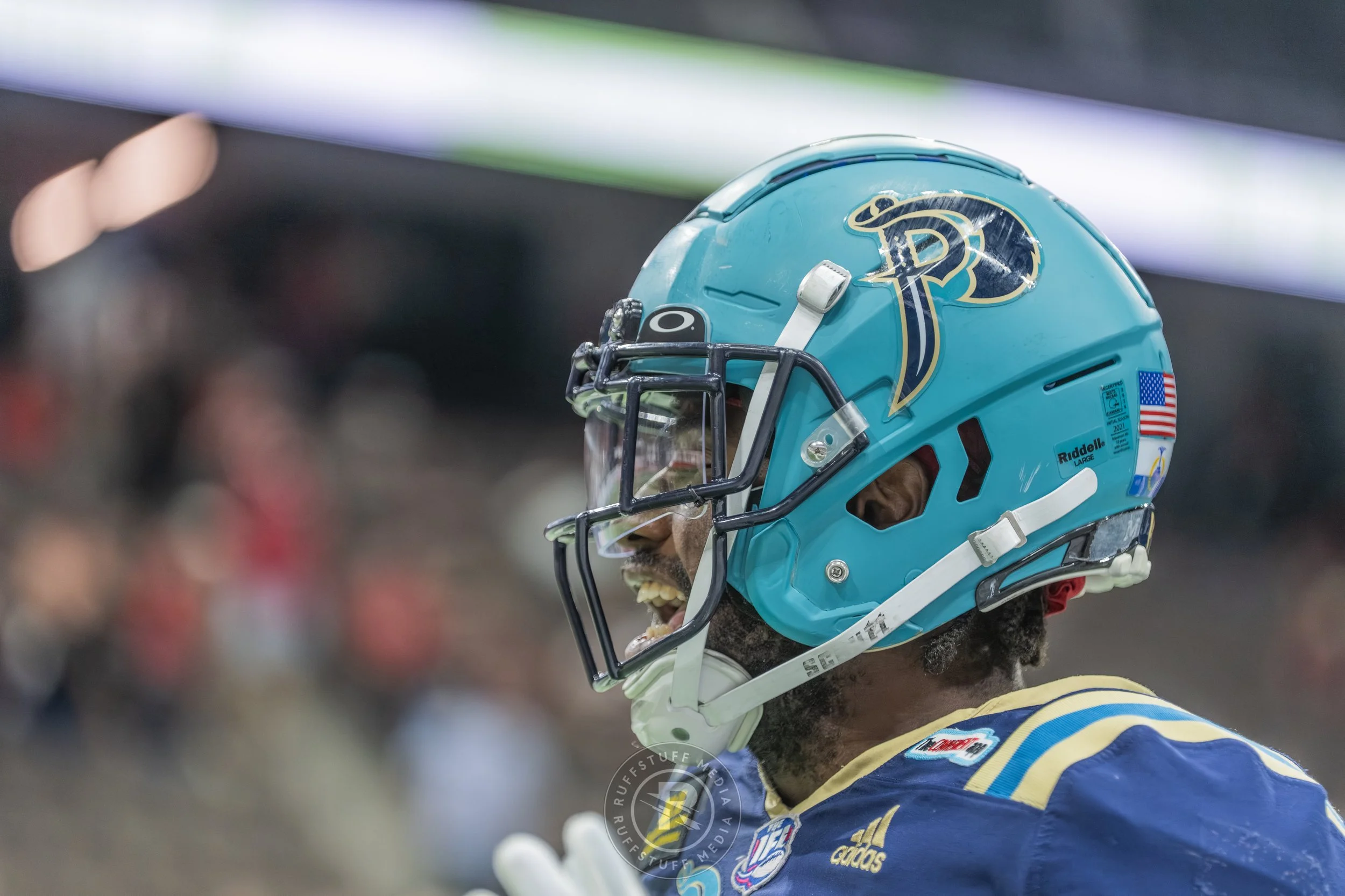 Sharks 260417-528.JPG