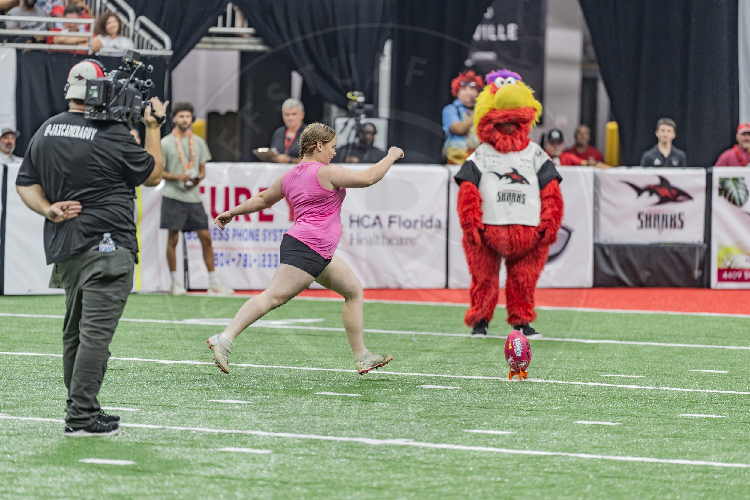 Sharks 260718-169.JPG