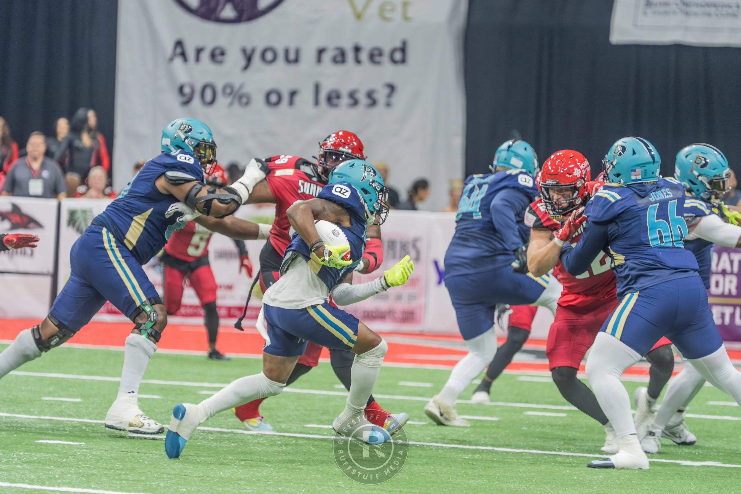 Sharks 260417-132.JPG