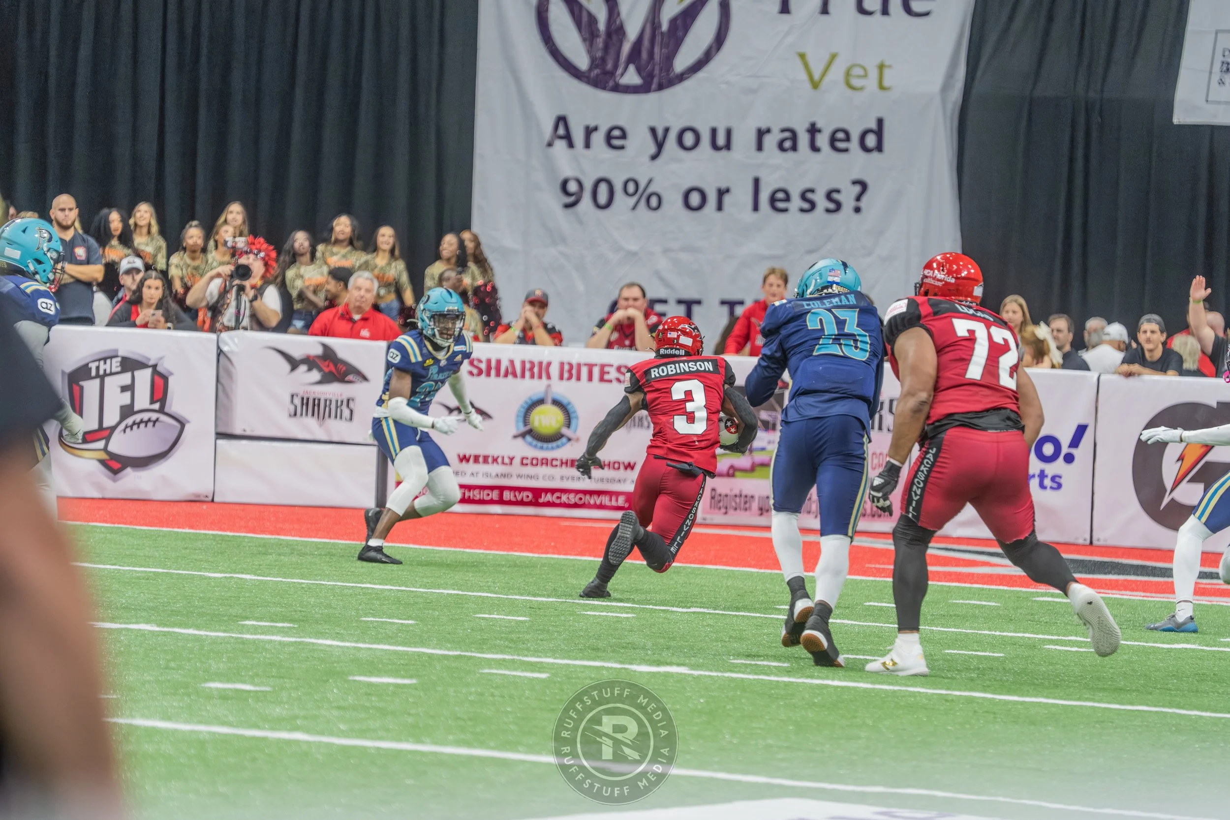 Sharks 260417-537.JPG