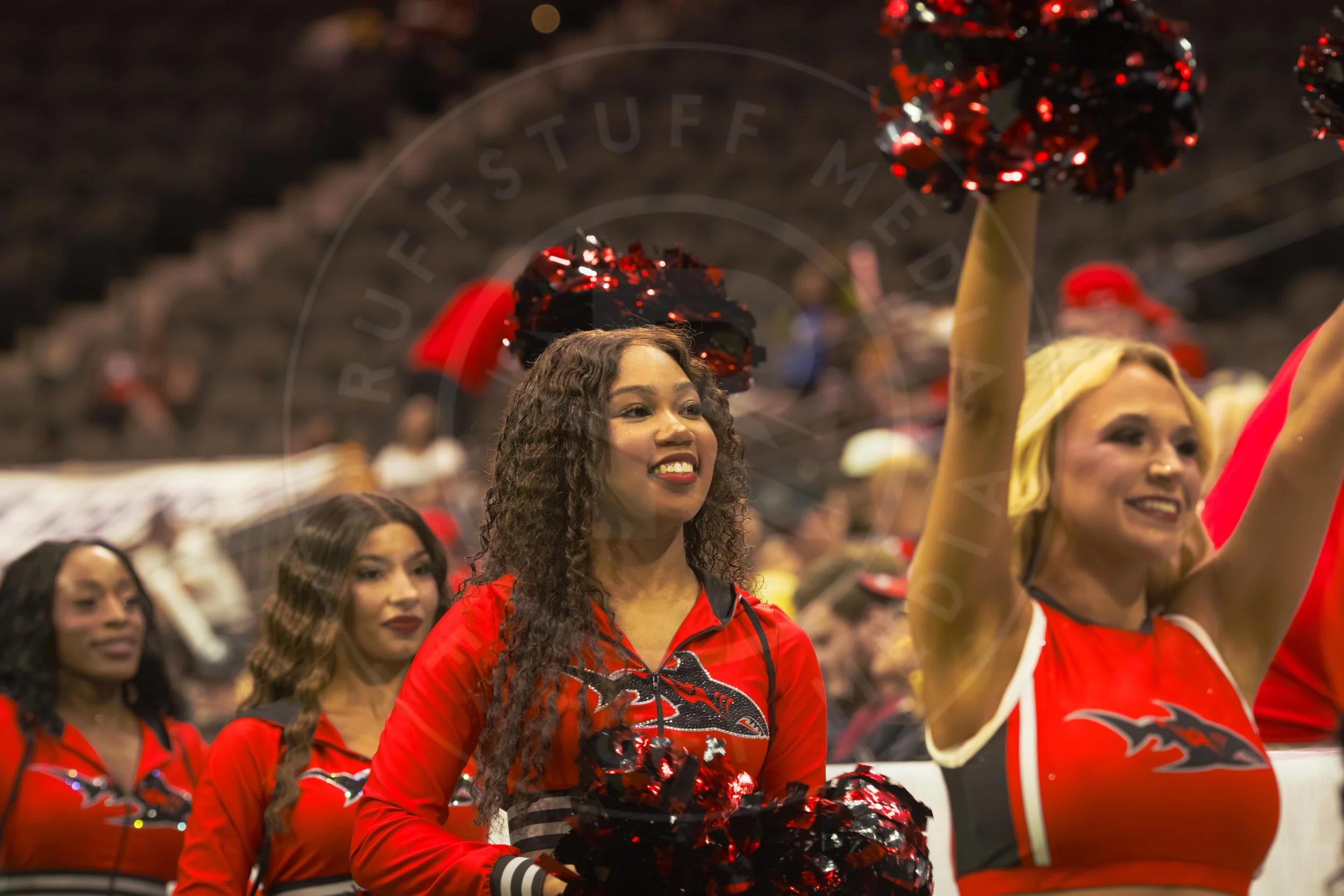 Sharks 260801-13.JPG