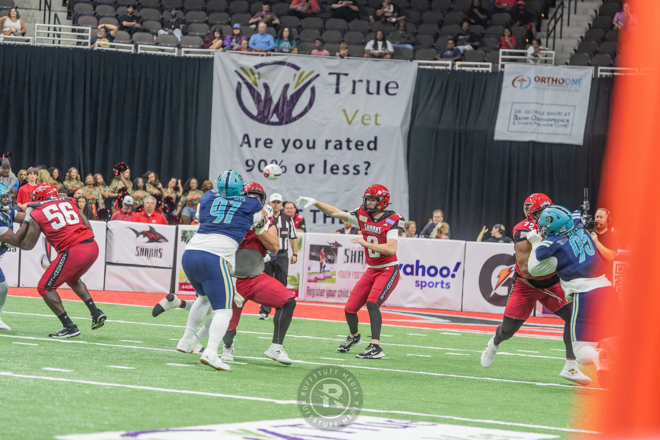 Sharks 260417-419_resize.JPG