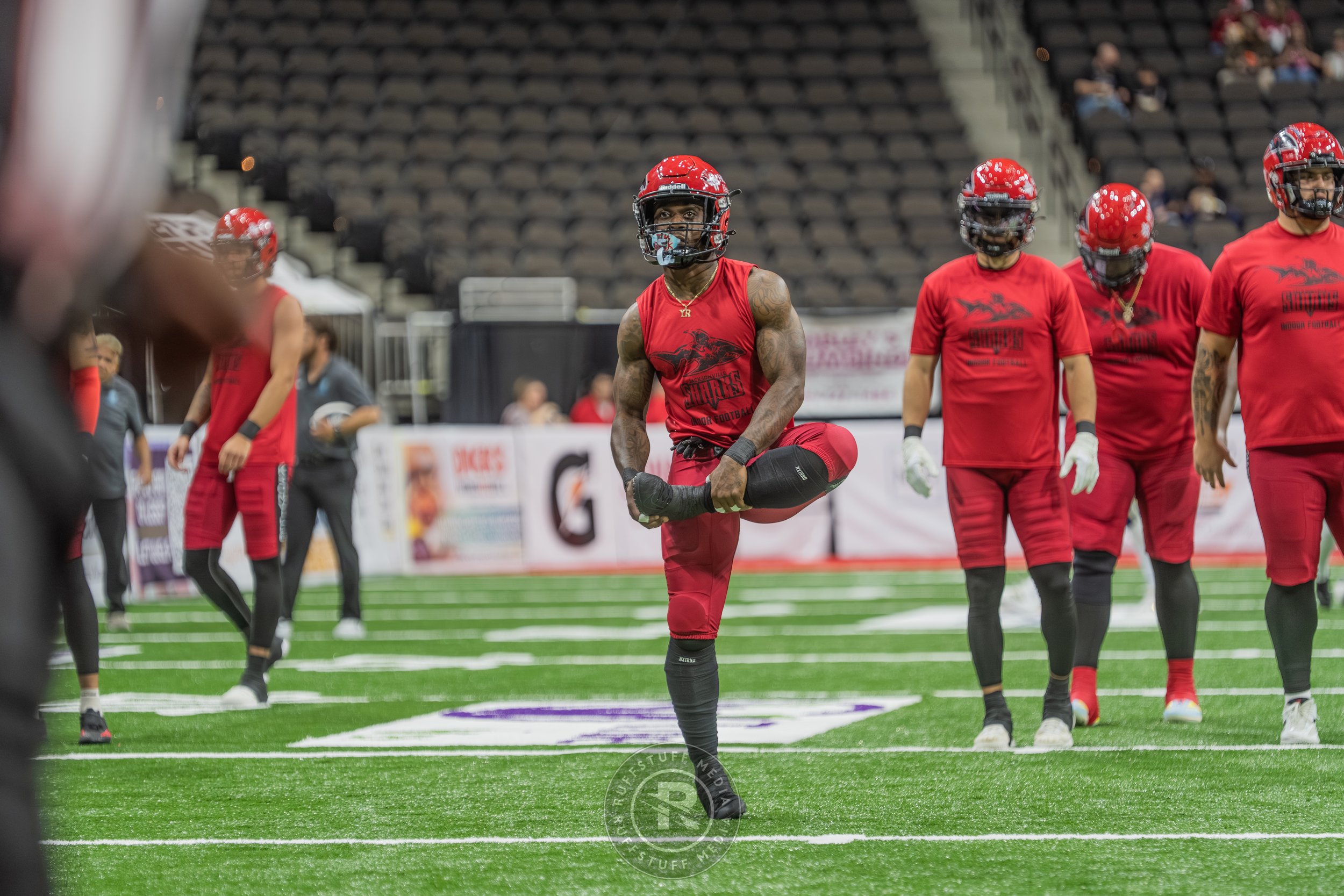 Sharks 260417-63.JPG