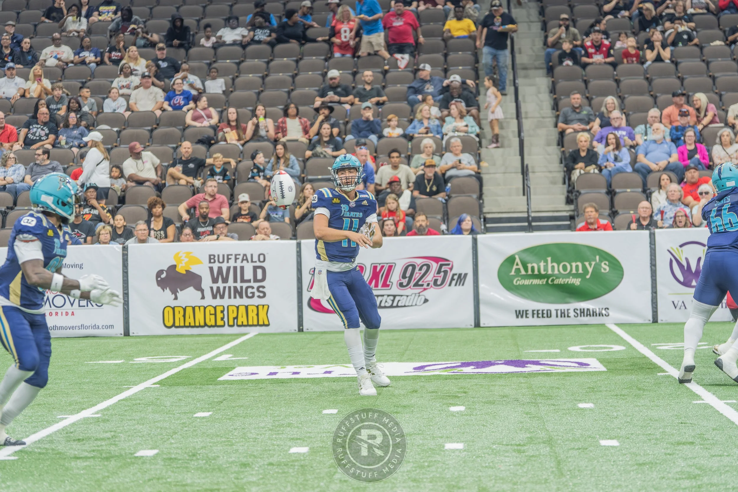 Sharks 260417-127.JPG