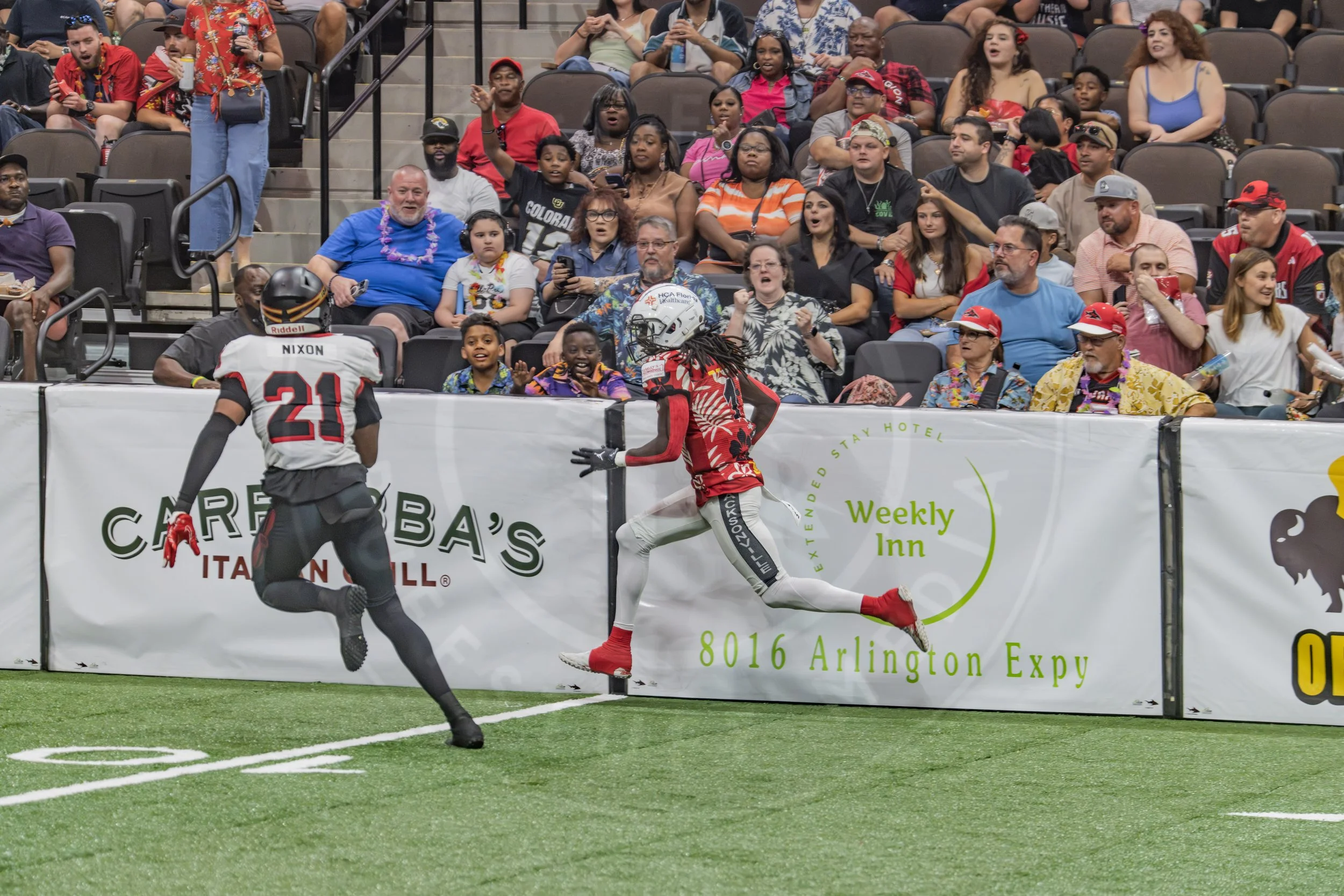 Sharks 260718-66.JPG