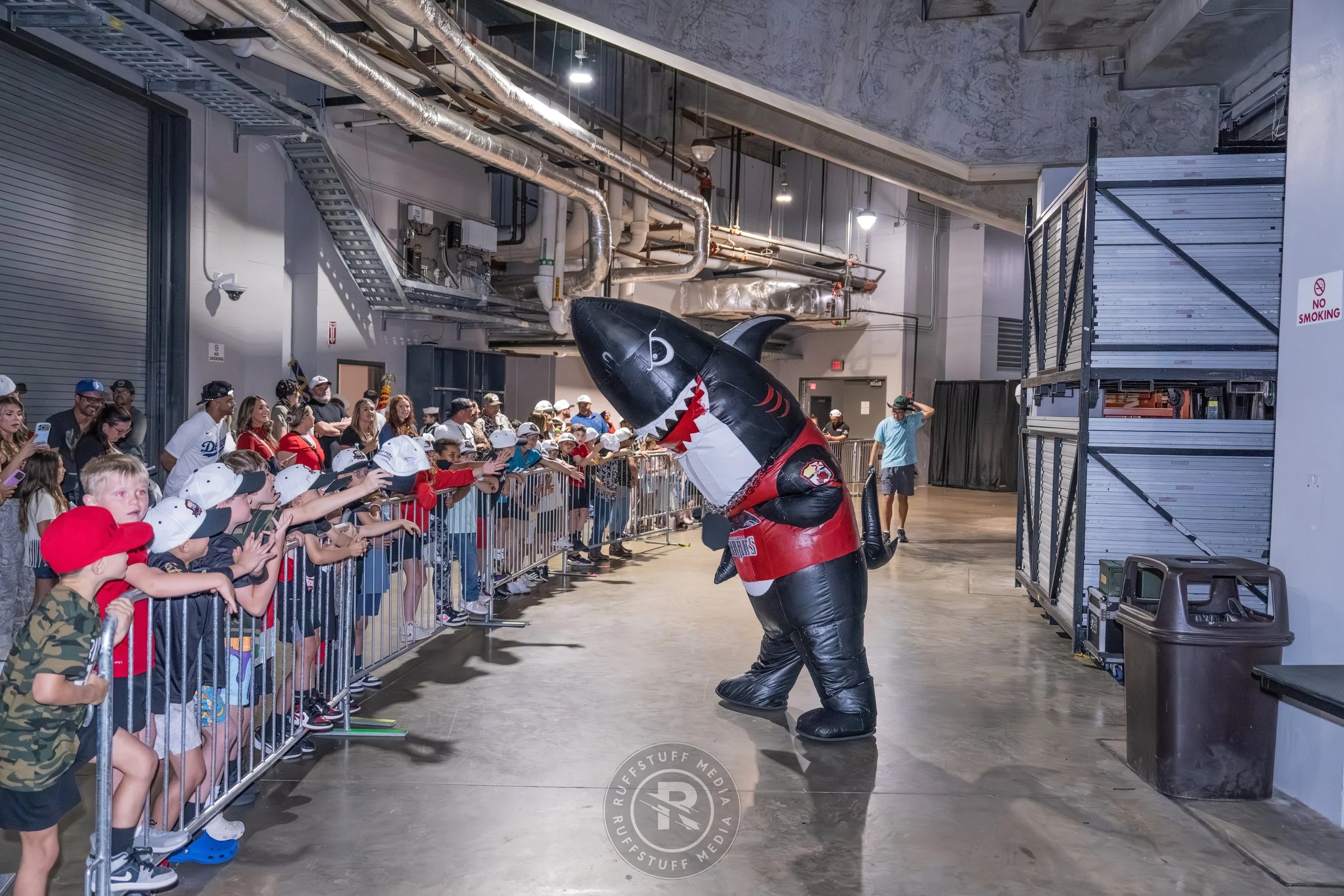 Sharks 260417-19_resize.JPG