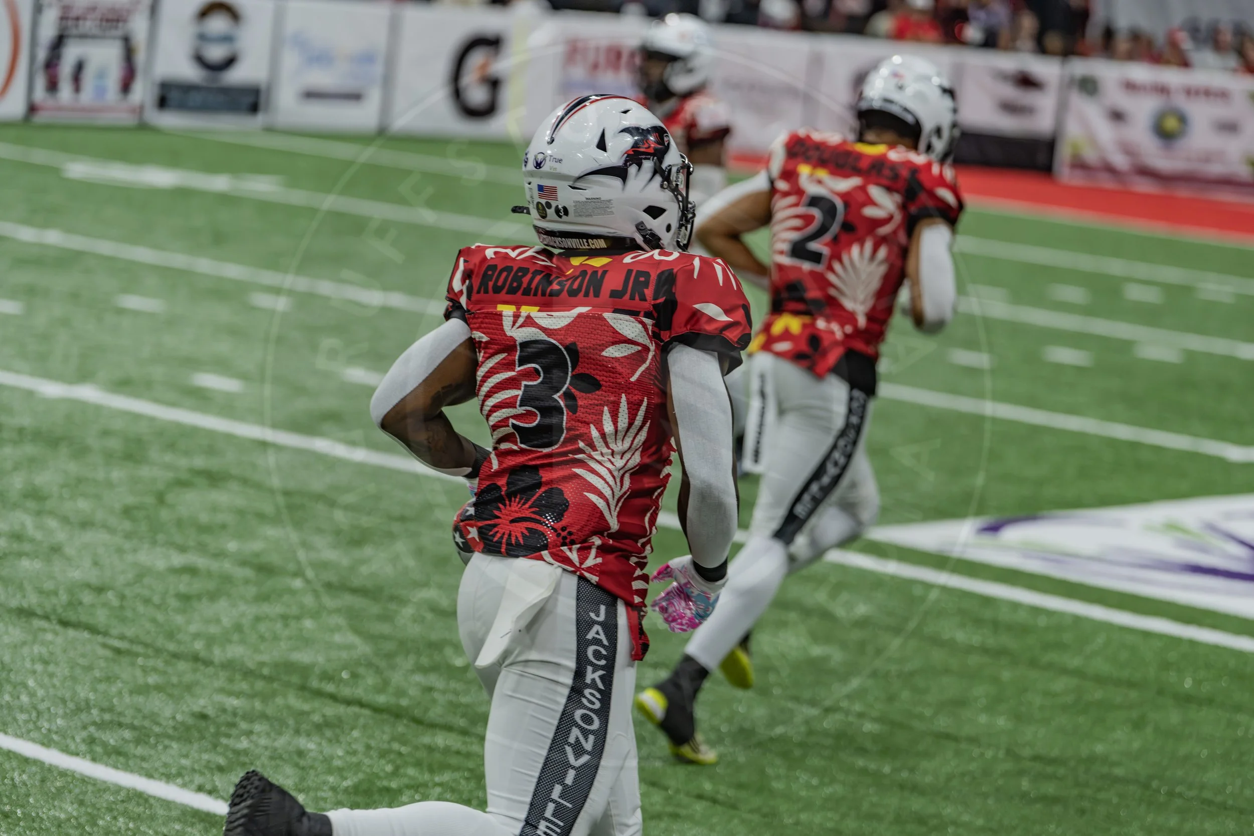 Sharks 260718-40.JPG