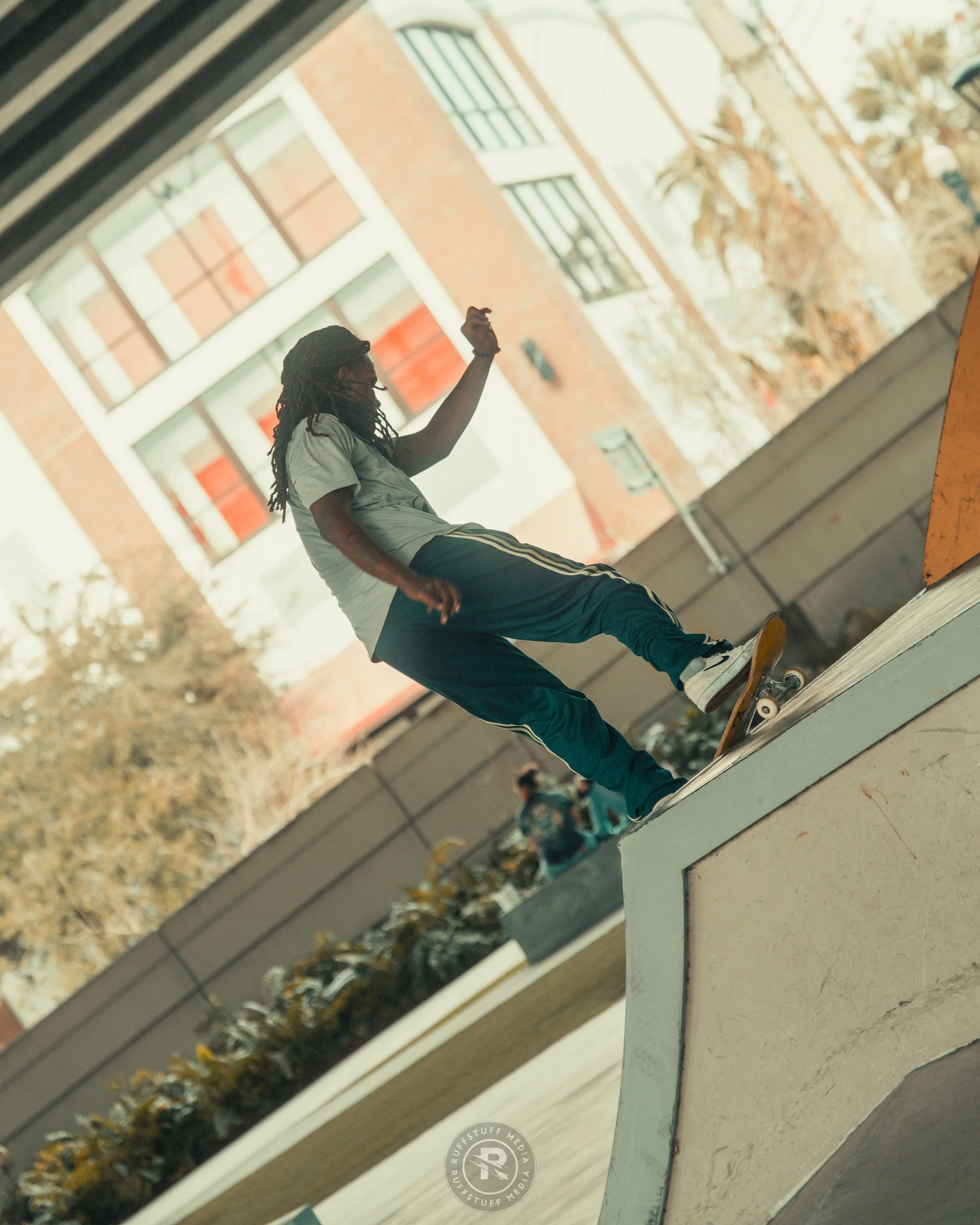 Skate Park 251228-15.JPG