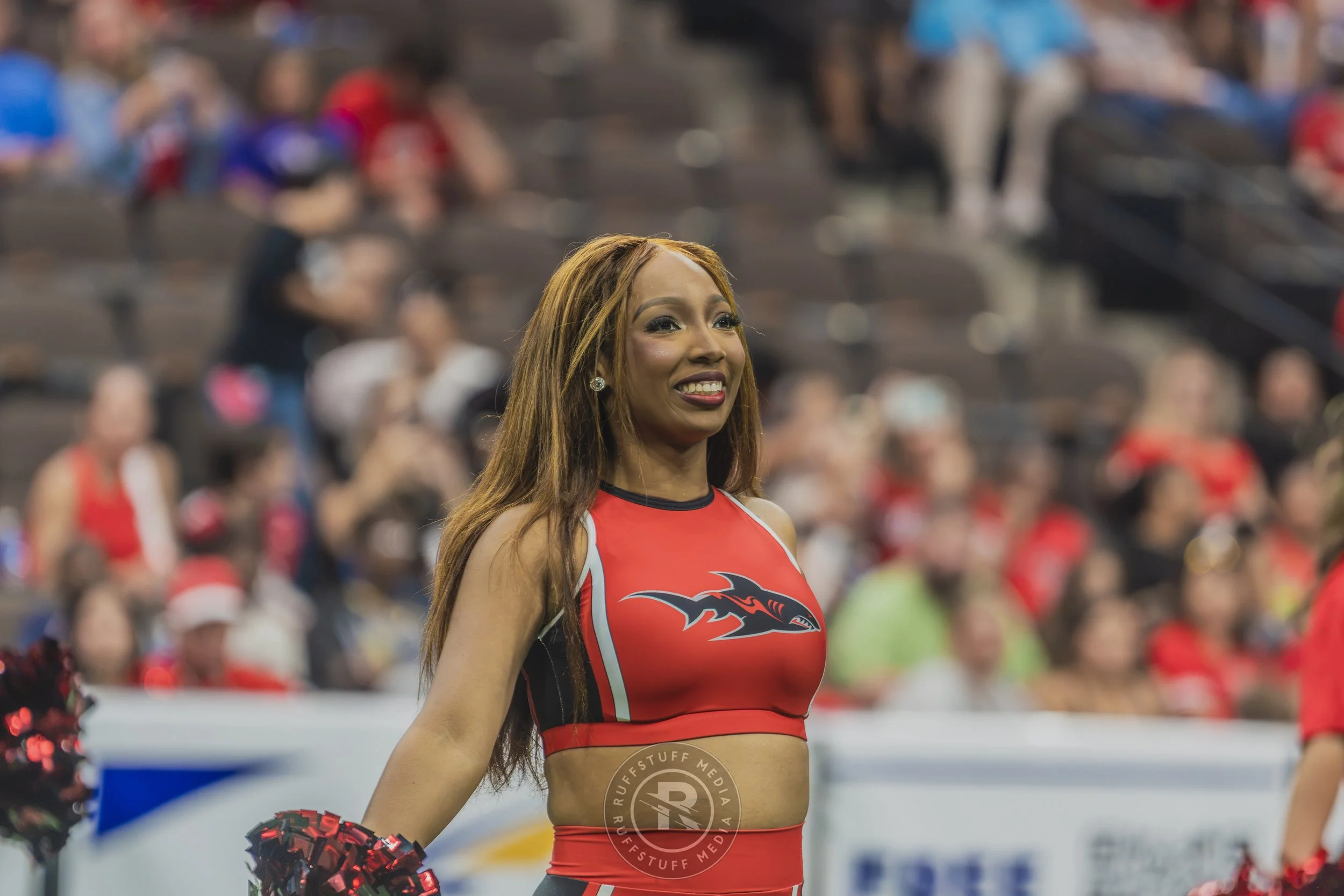 Sharks 260628-229.JPG