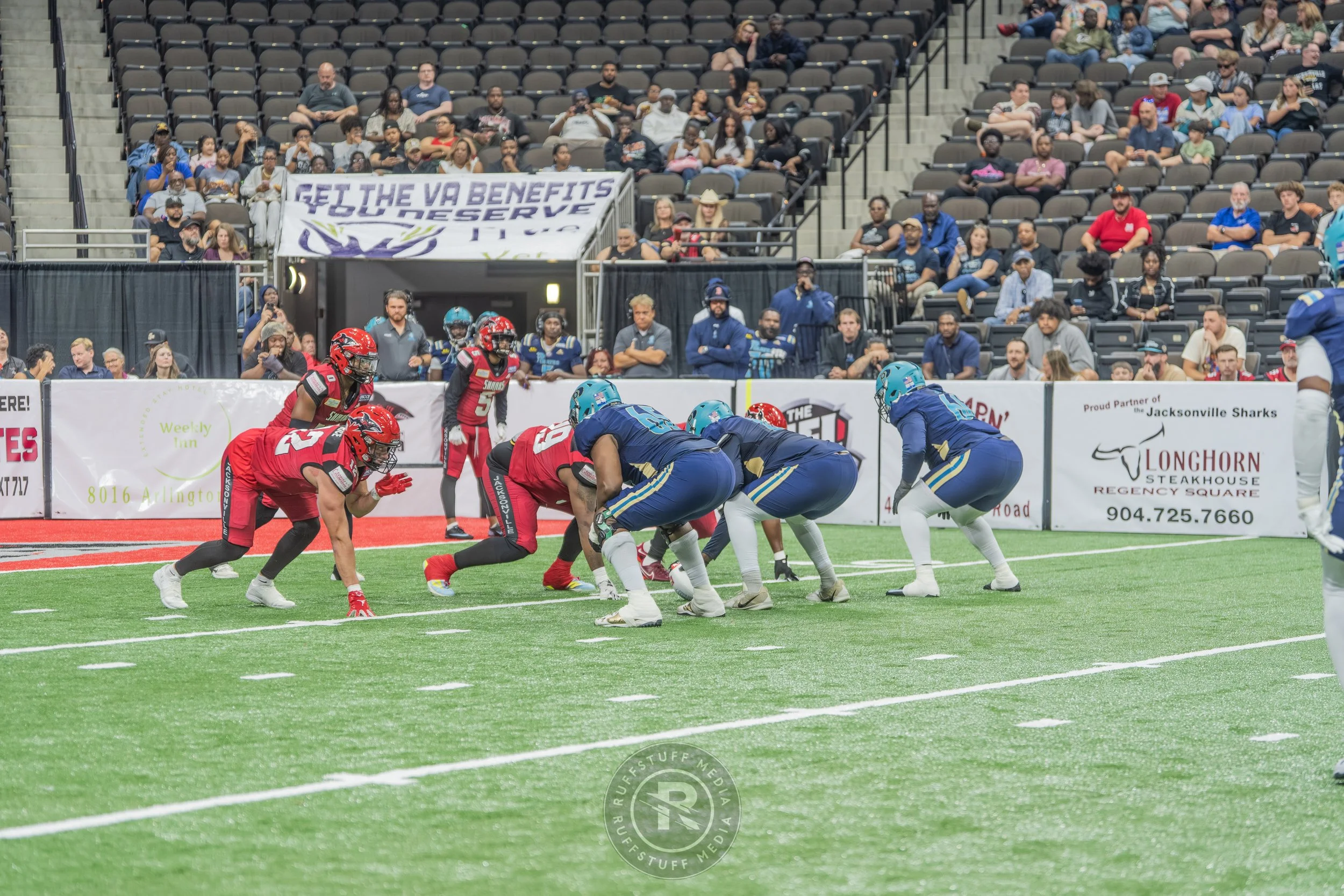 Sharks 260417-190_resize.JPG