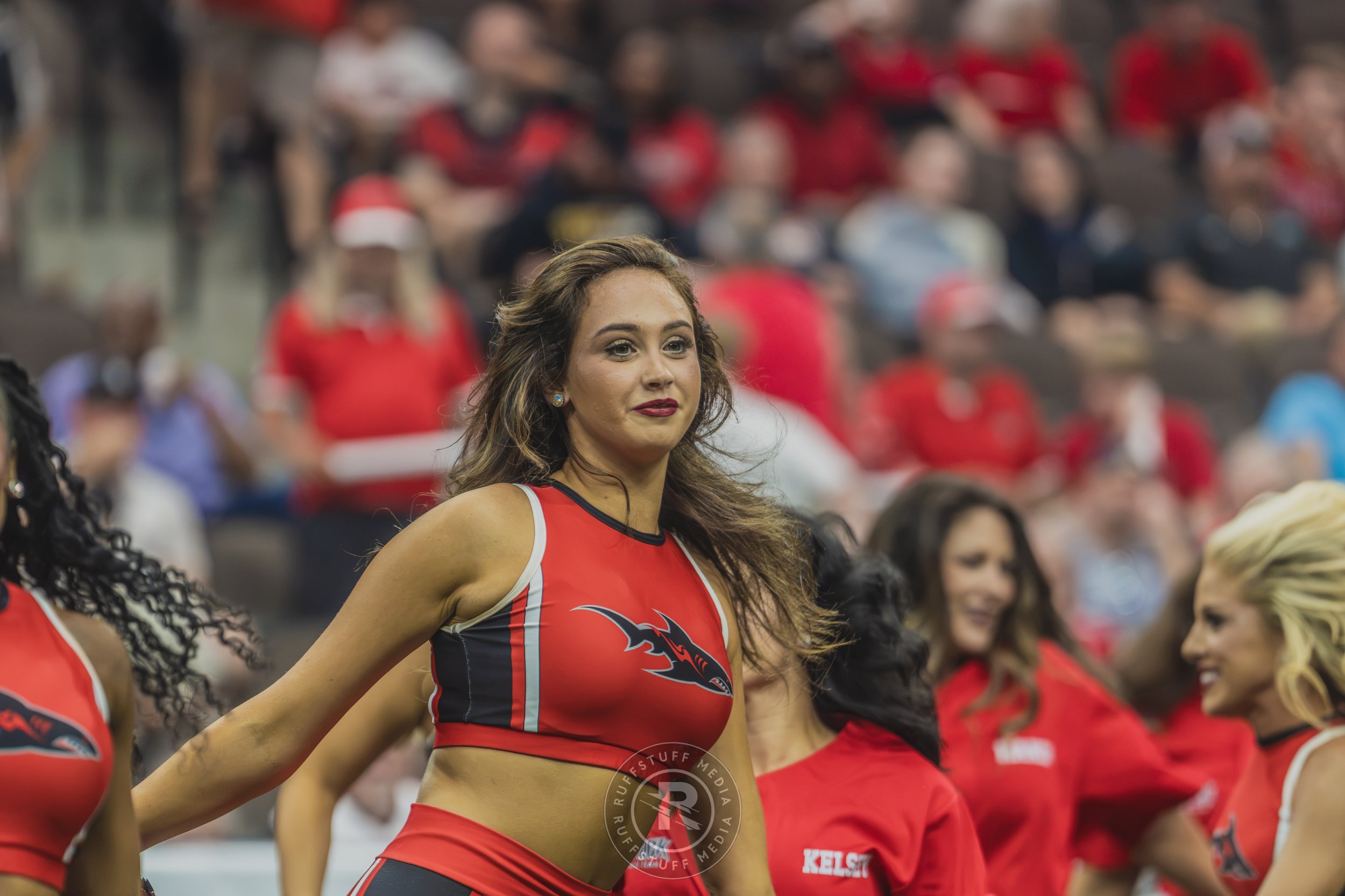 Sharks 260628-226.JPG