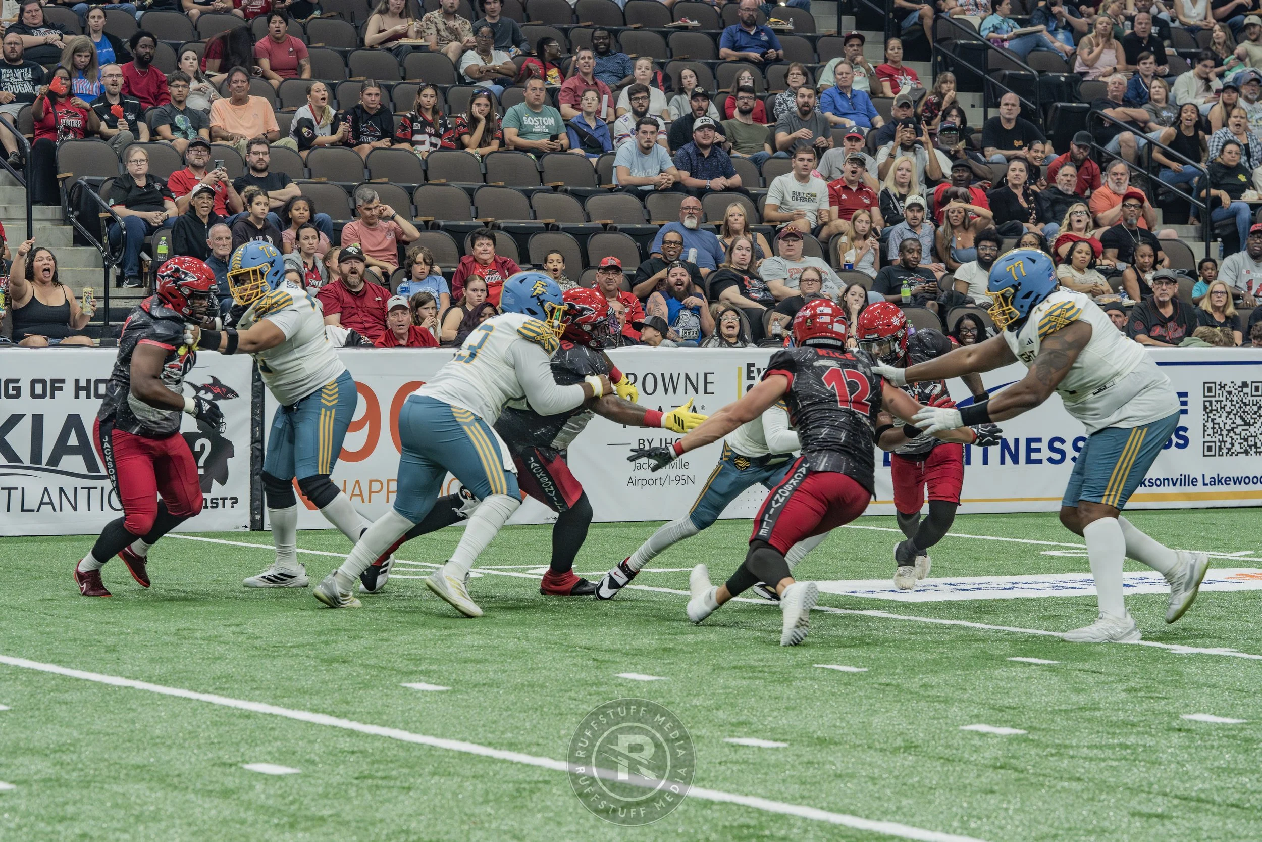 Sharks 260530-275.JPG
